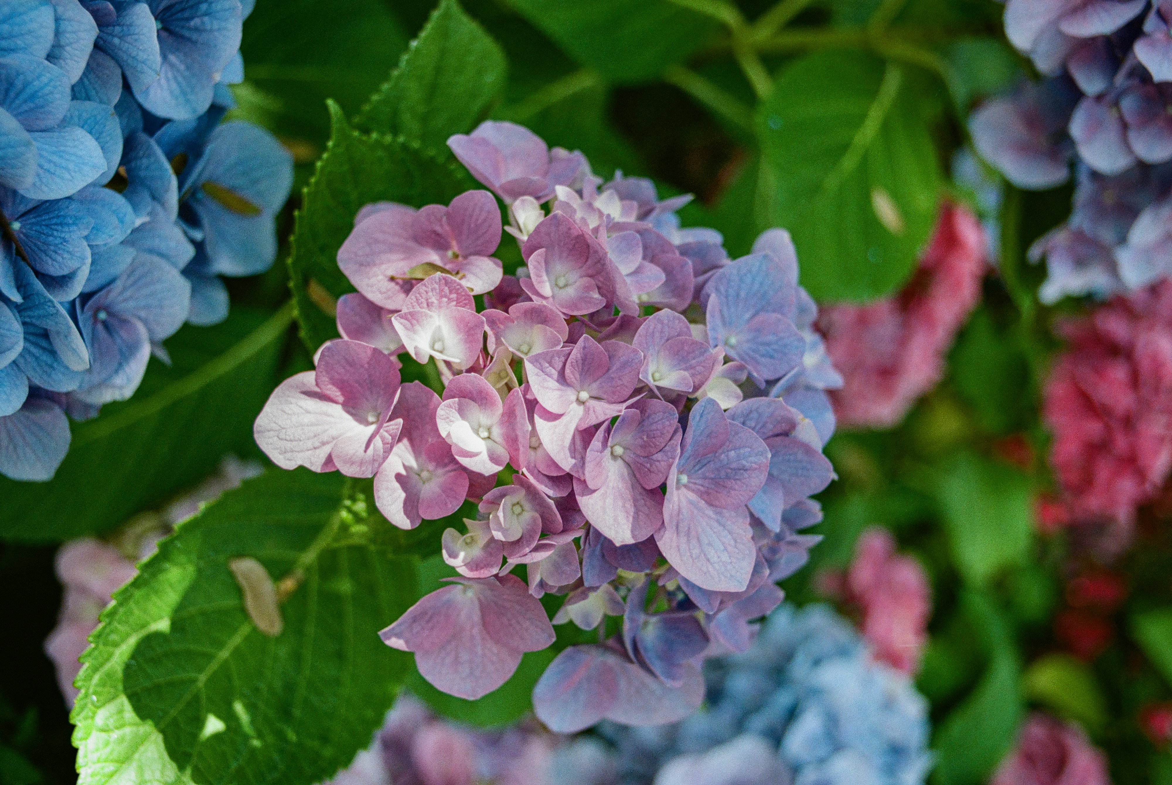 Photo by ukprajapati