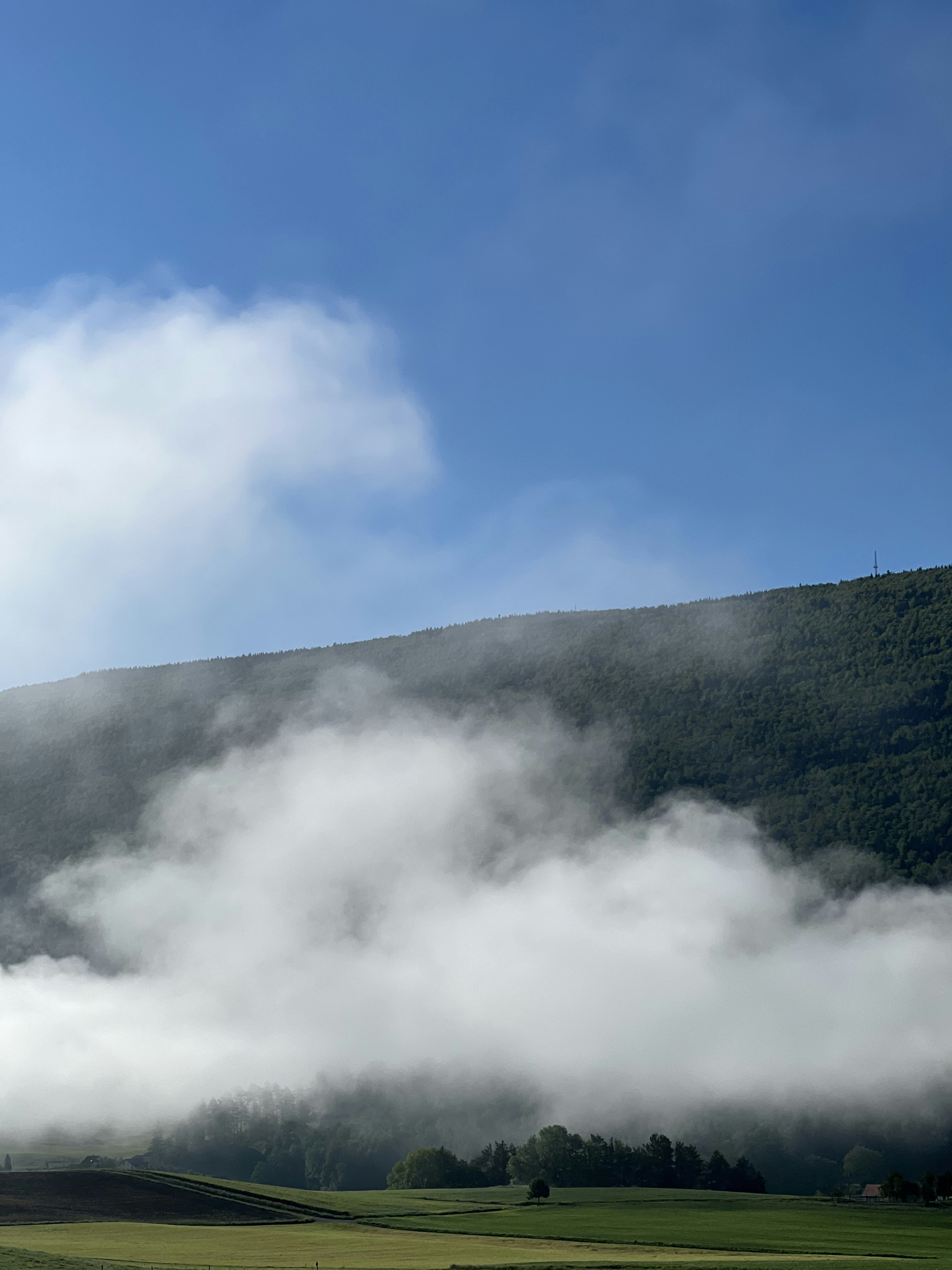 Photo by vogelkaravan