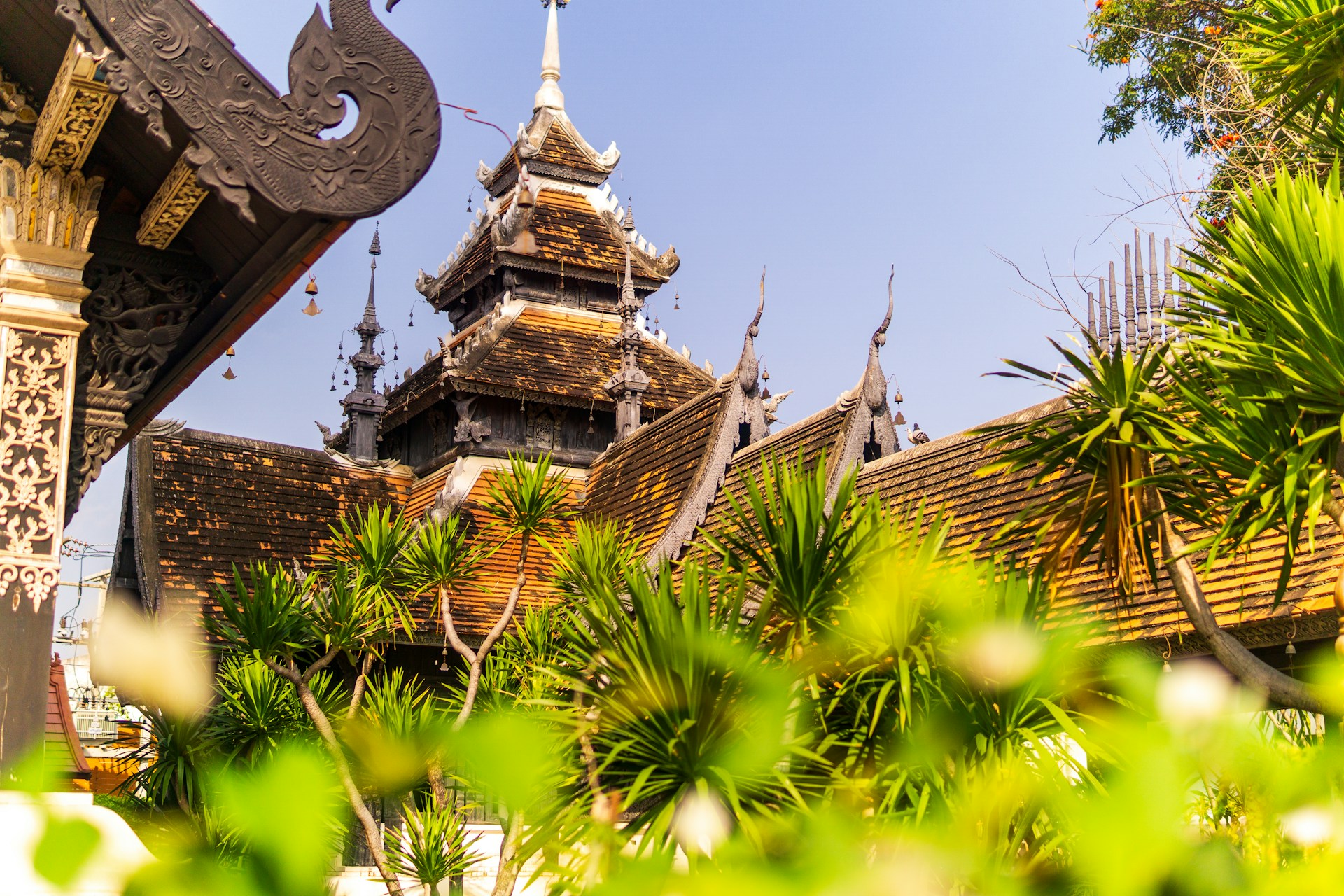 A view of a temple from the ground