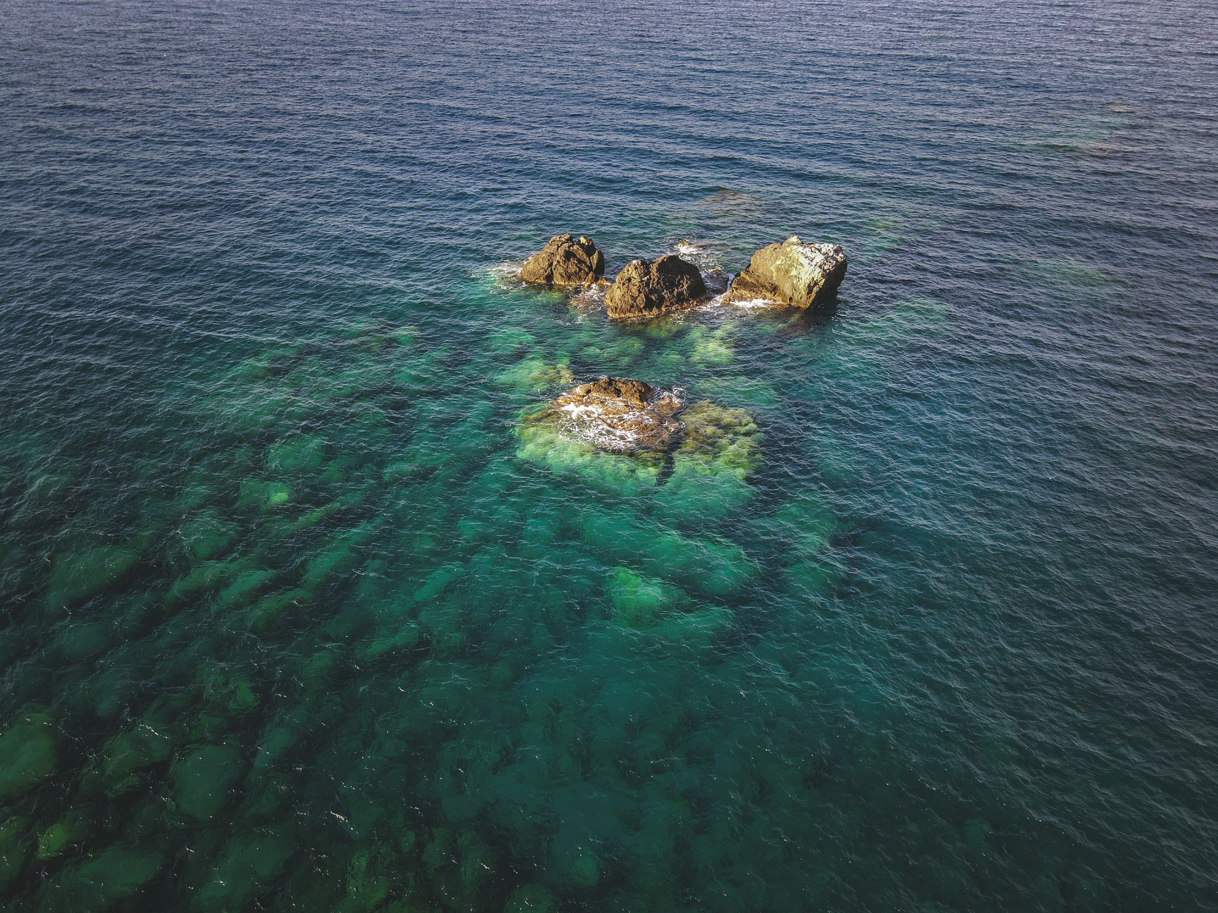 Photo by francesco_ungaro