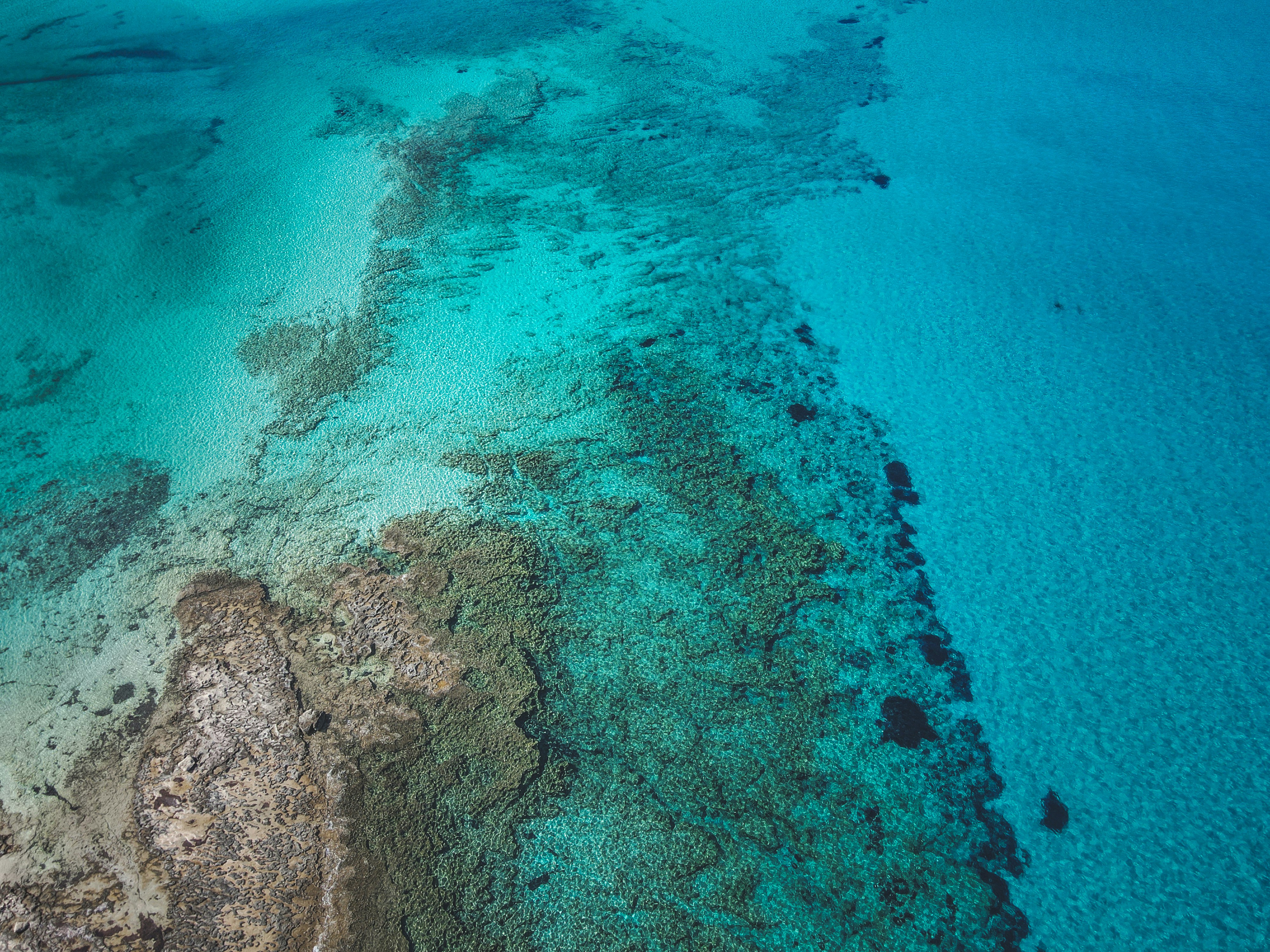 Photo by francesco_ungaro