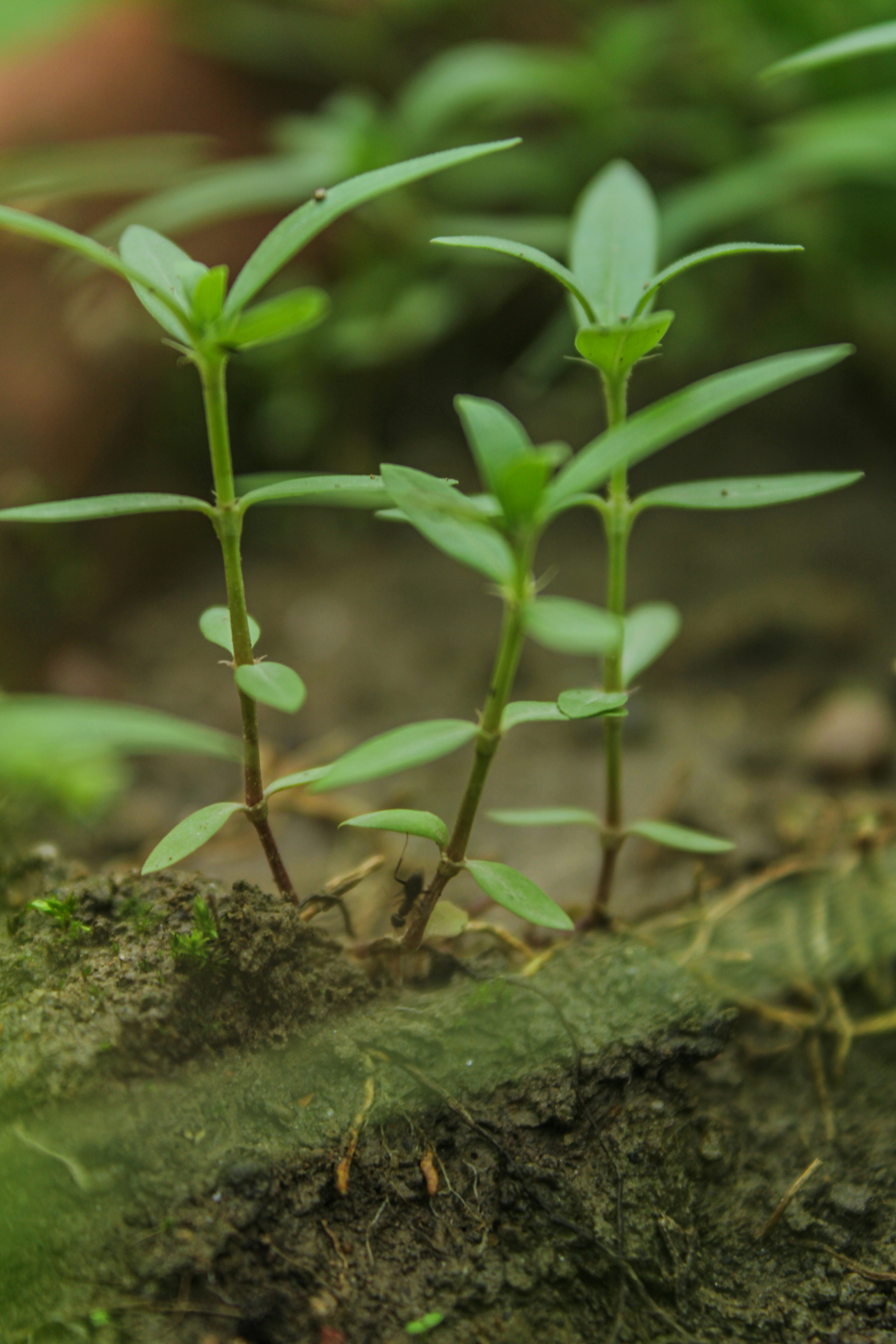 Photo by neelmoon1314