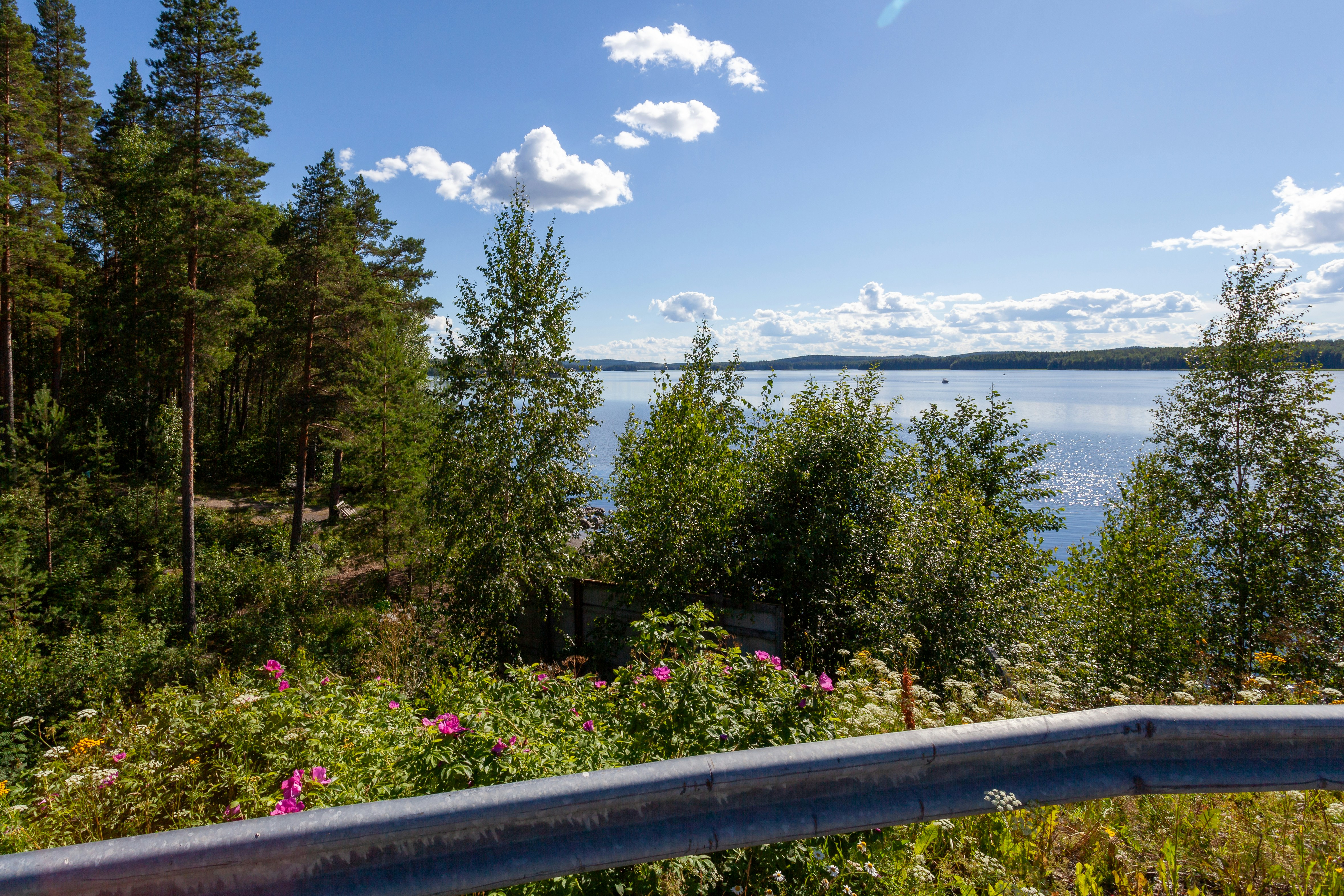 A scenic view of a lake and a forest