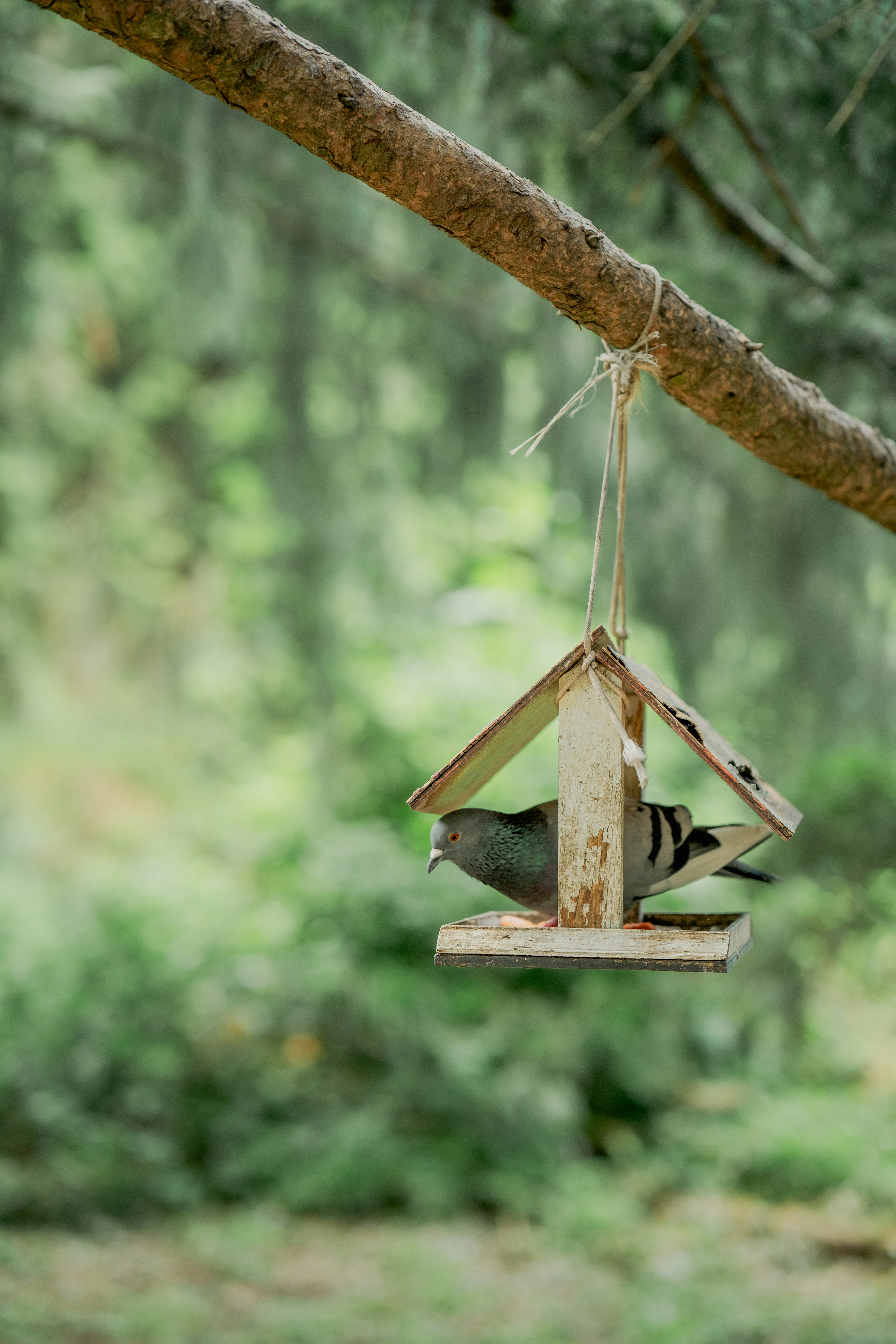 Photo by eugenivy_now