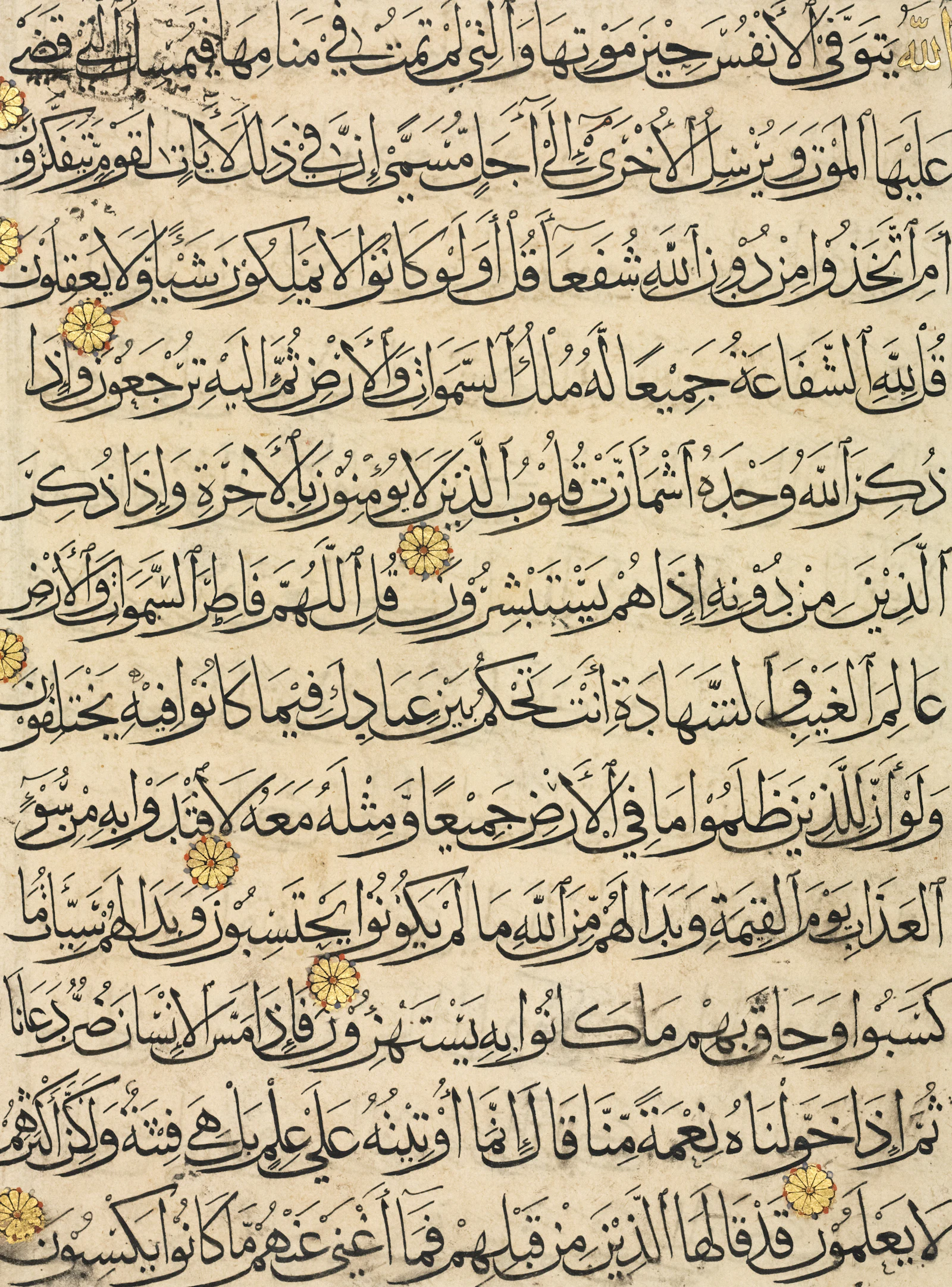 Old calligraphy on parchment