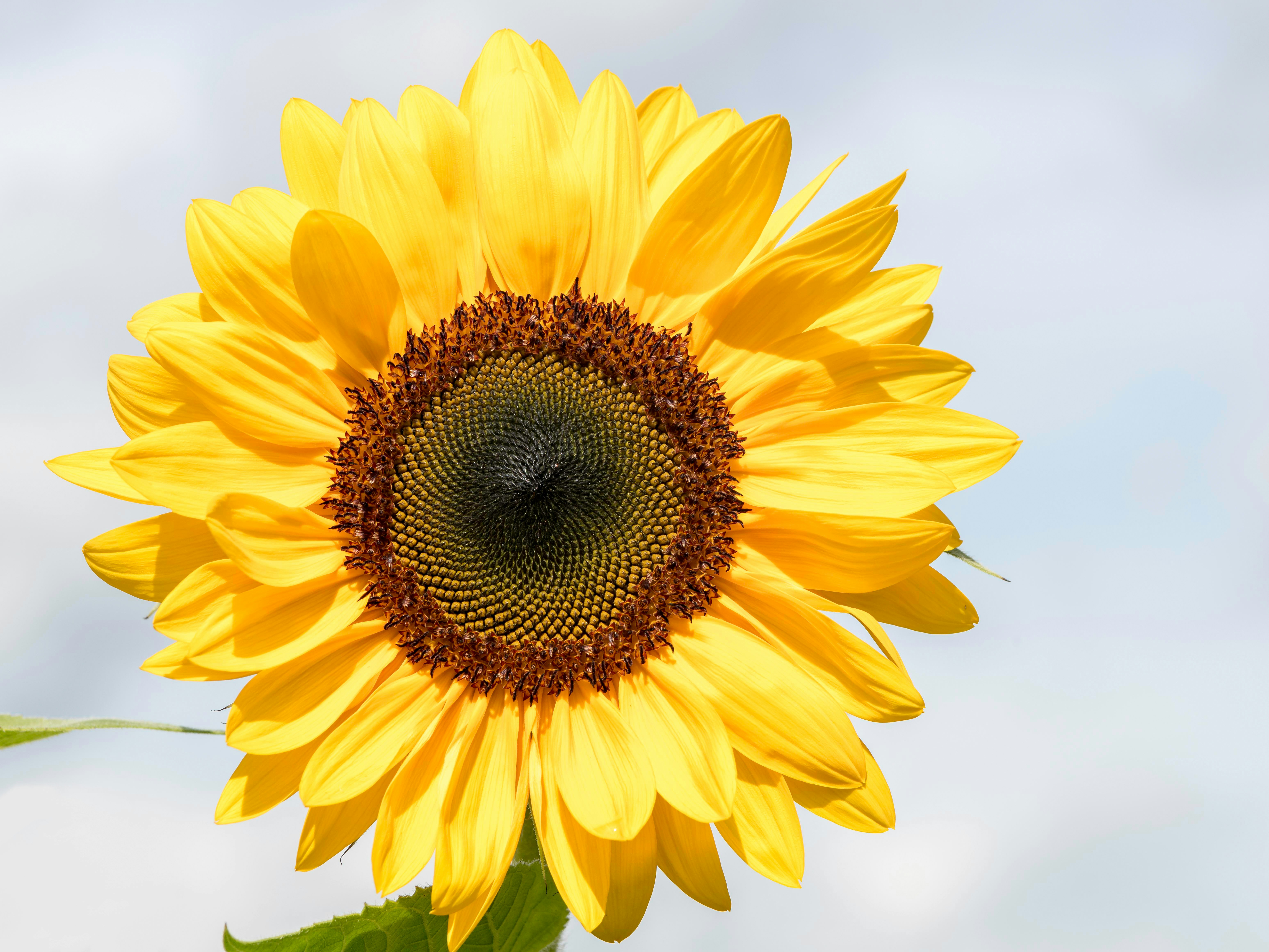 Photo by hamburgmeinefreundin