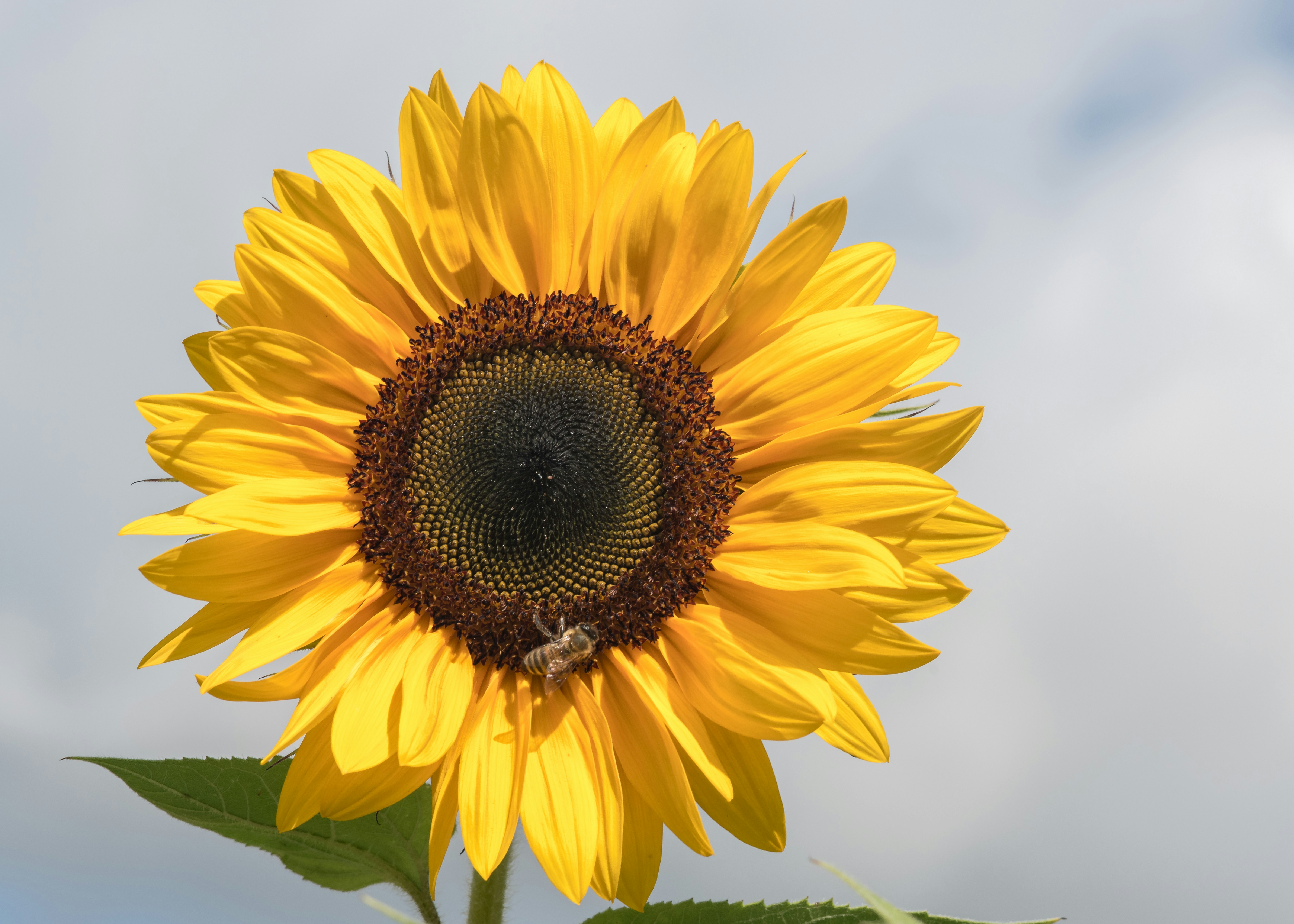 Photo by hamburgmeinefreundin