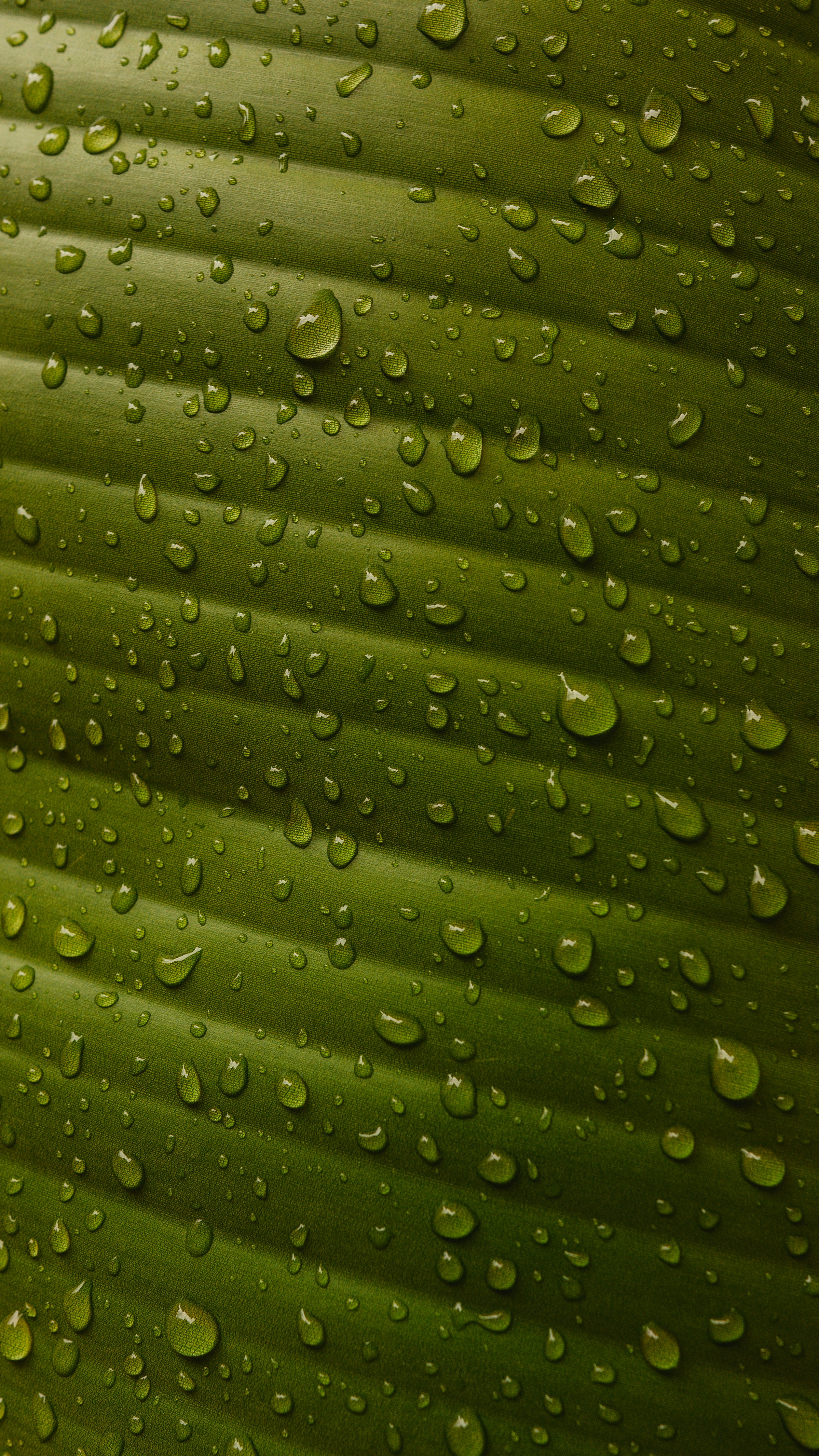 Photo by branislavrodman