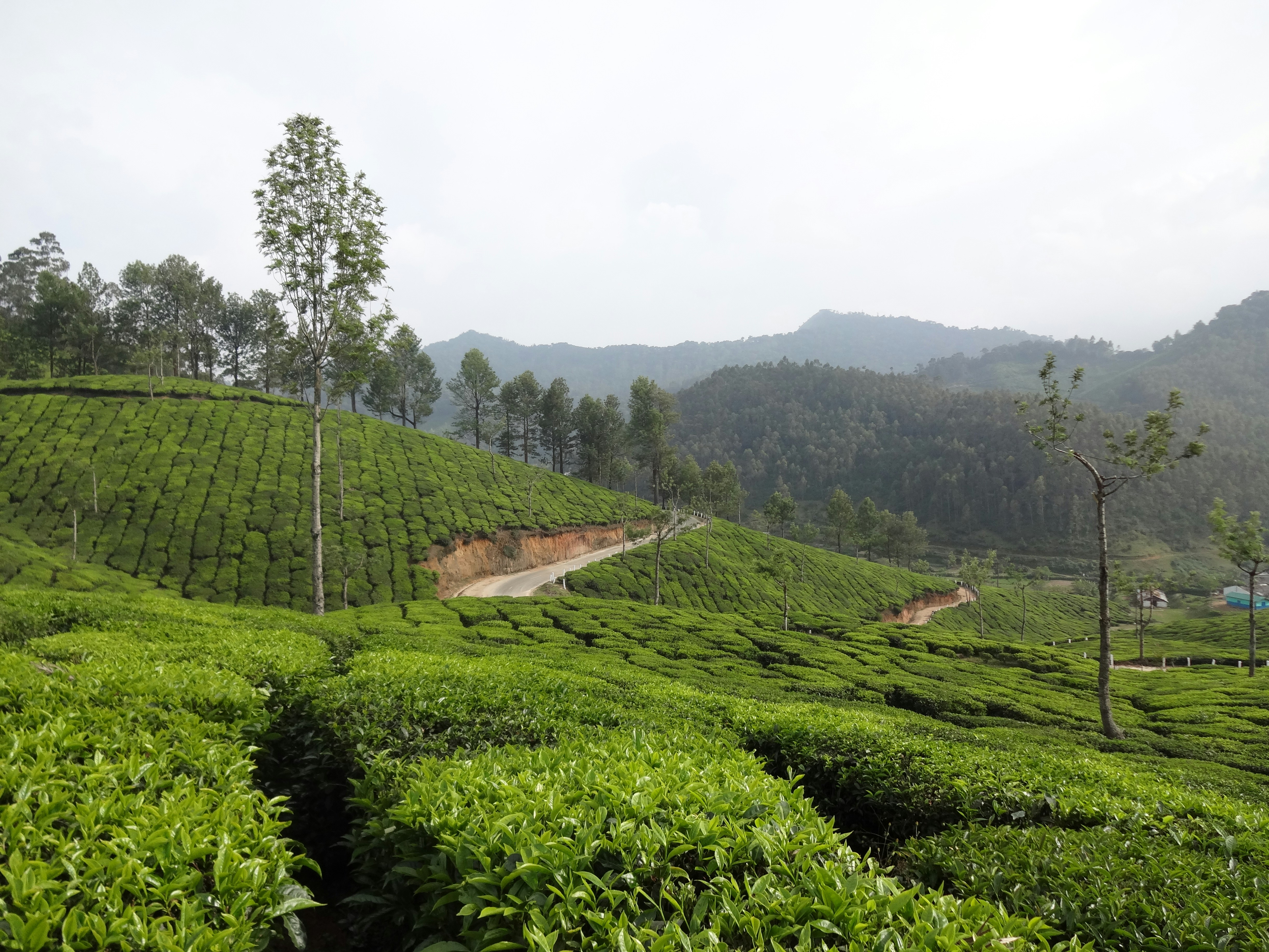 Photo by motorbiketourindia