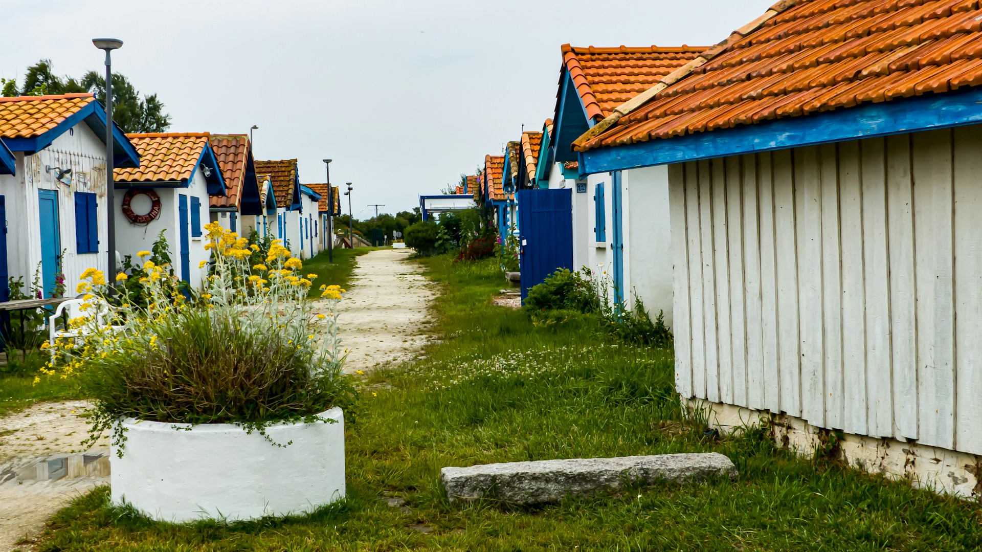 A row of houses with orange roofs and blue shutters