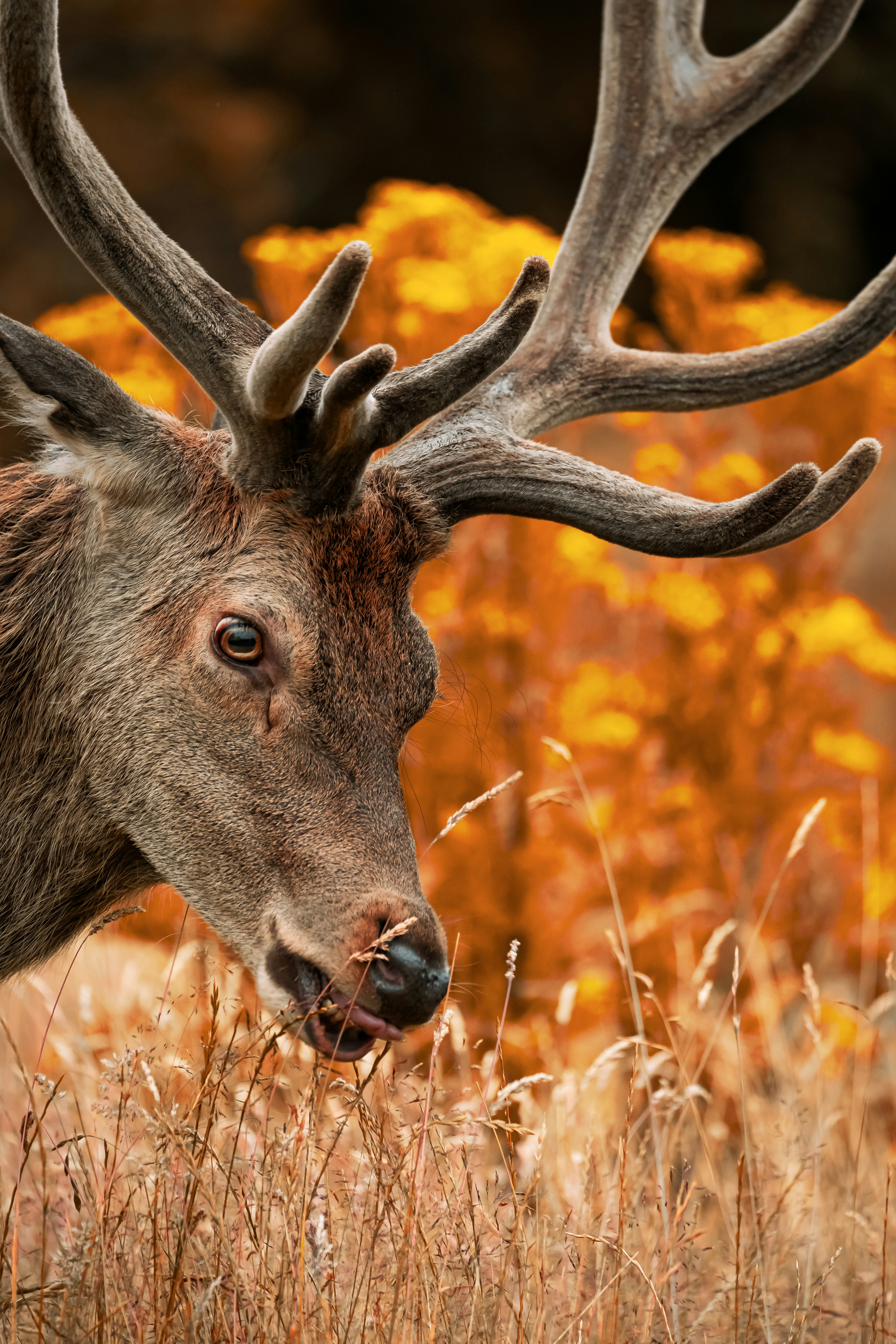 Photo by fatihsimsek