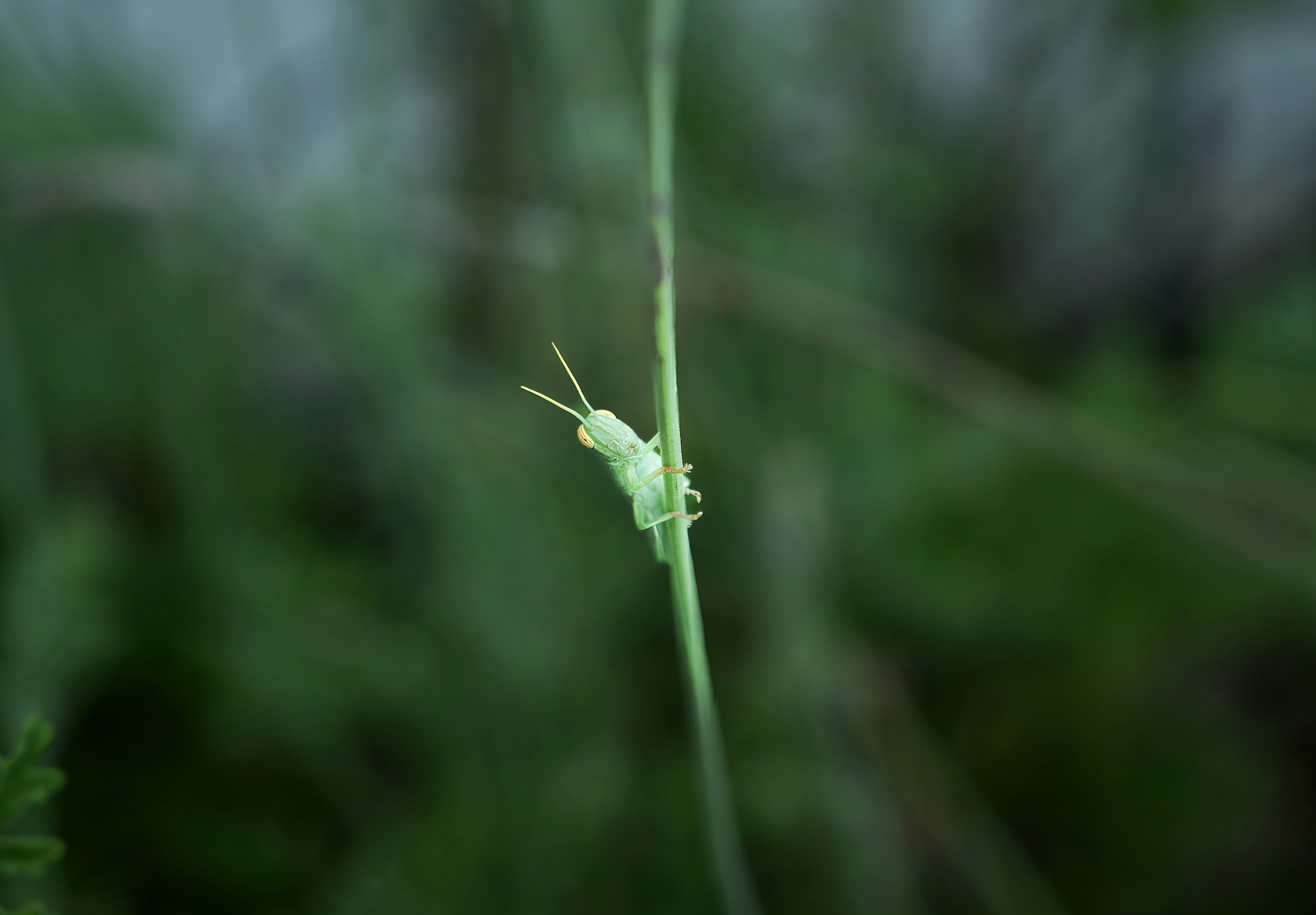 Photo by mrintheory