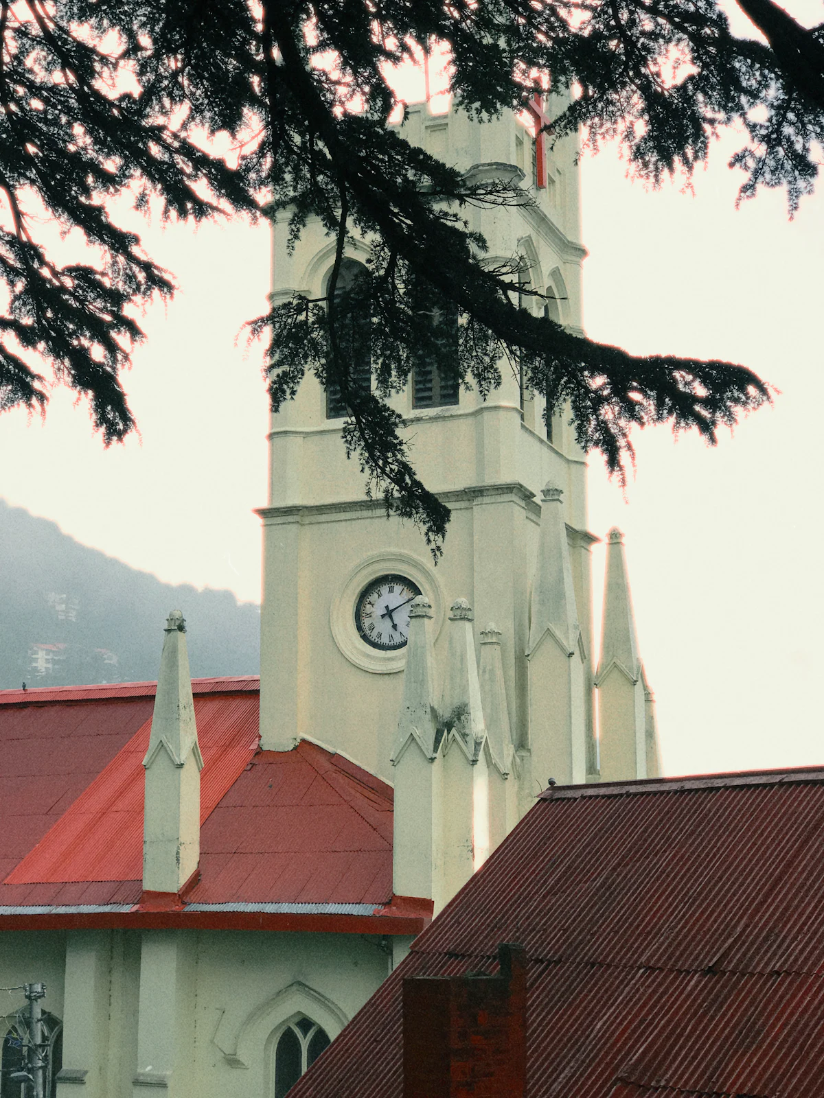 Shimla