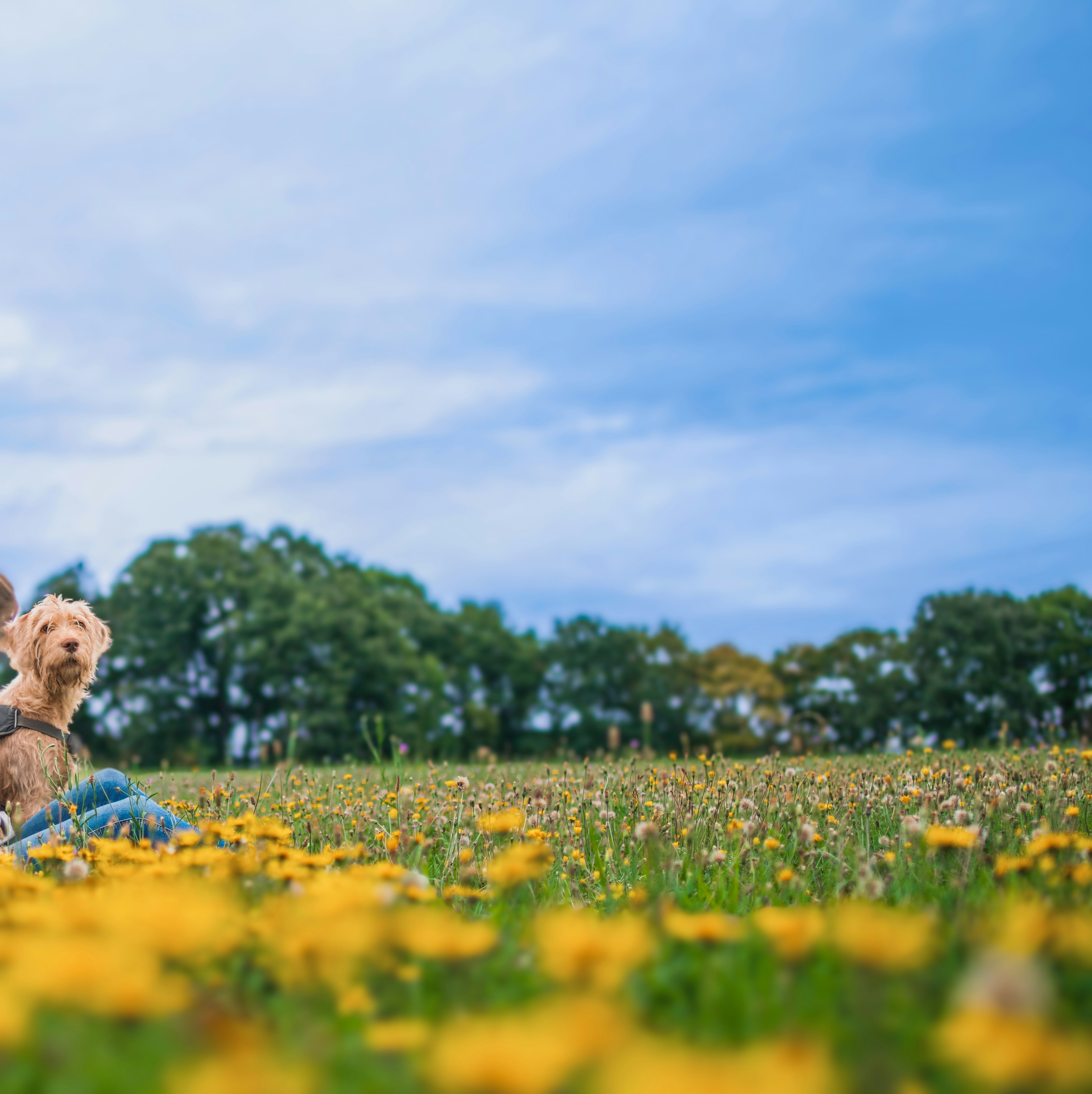 Photo by andreas_schnabl