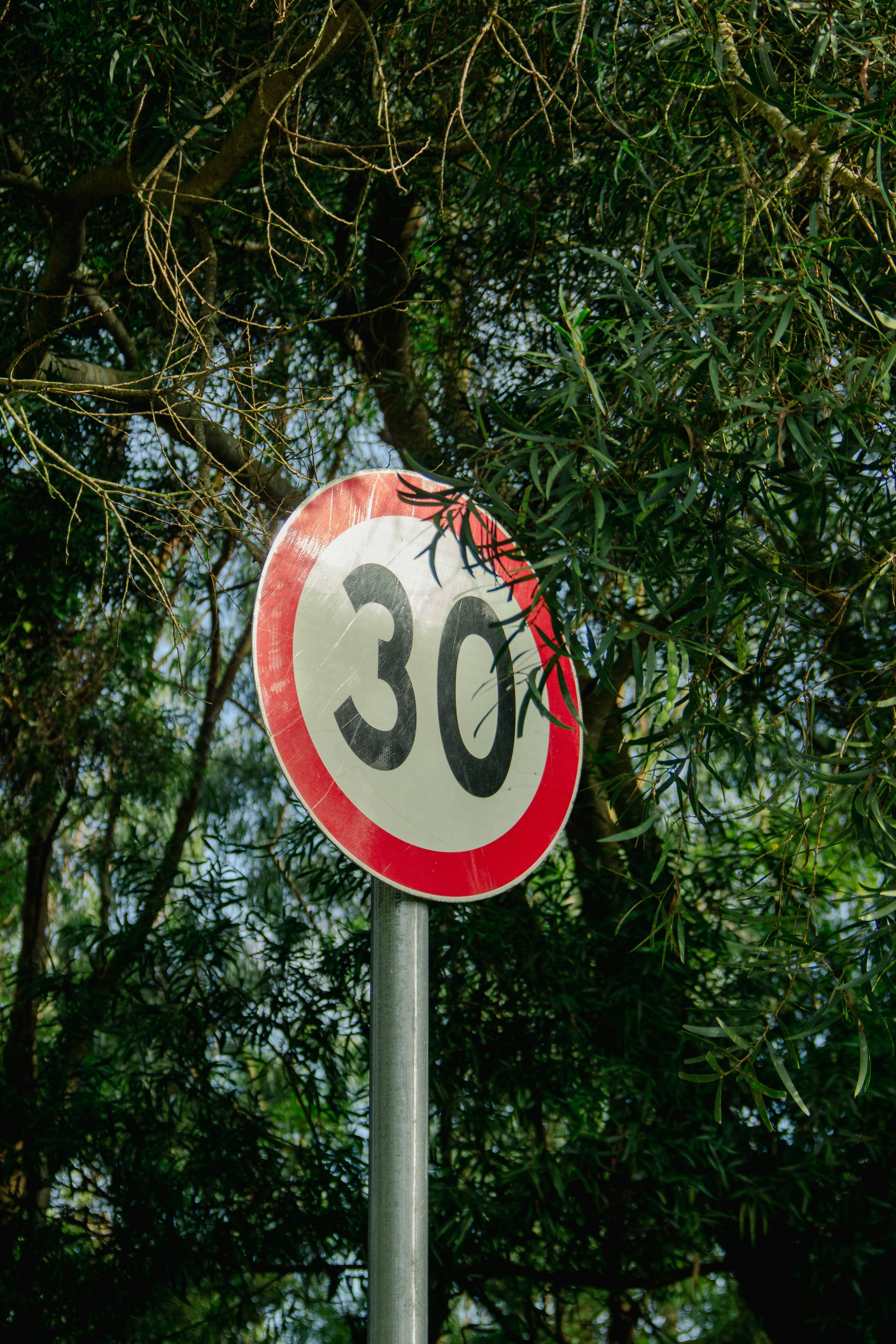 Photo by zollyphotograph