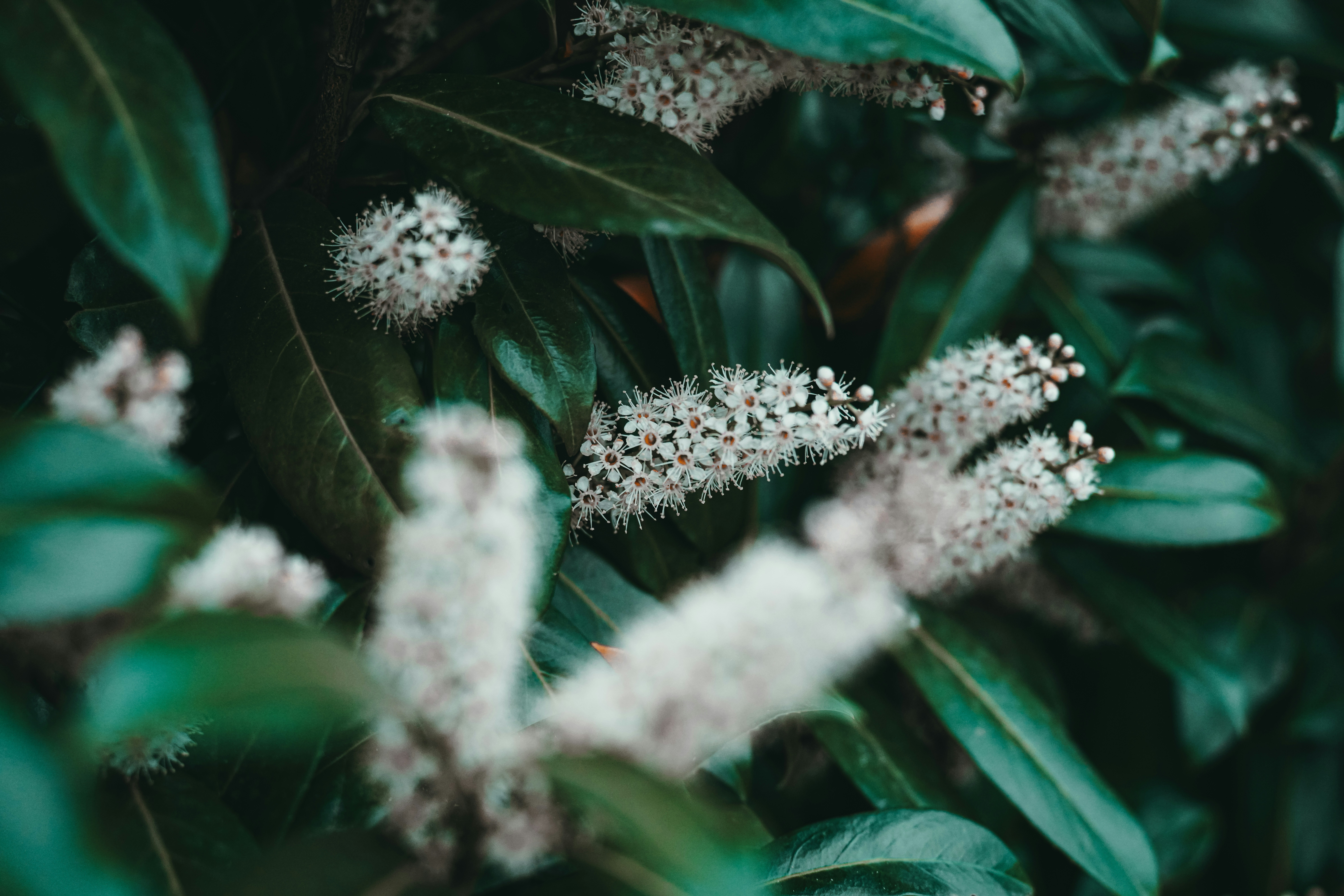 Photo by andreas_schnabl