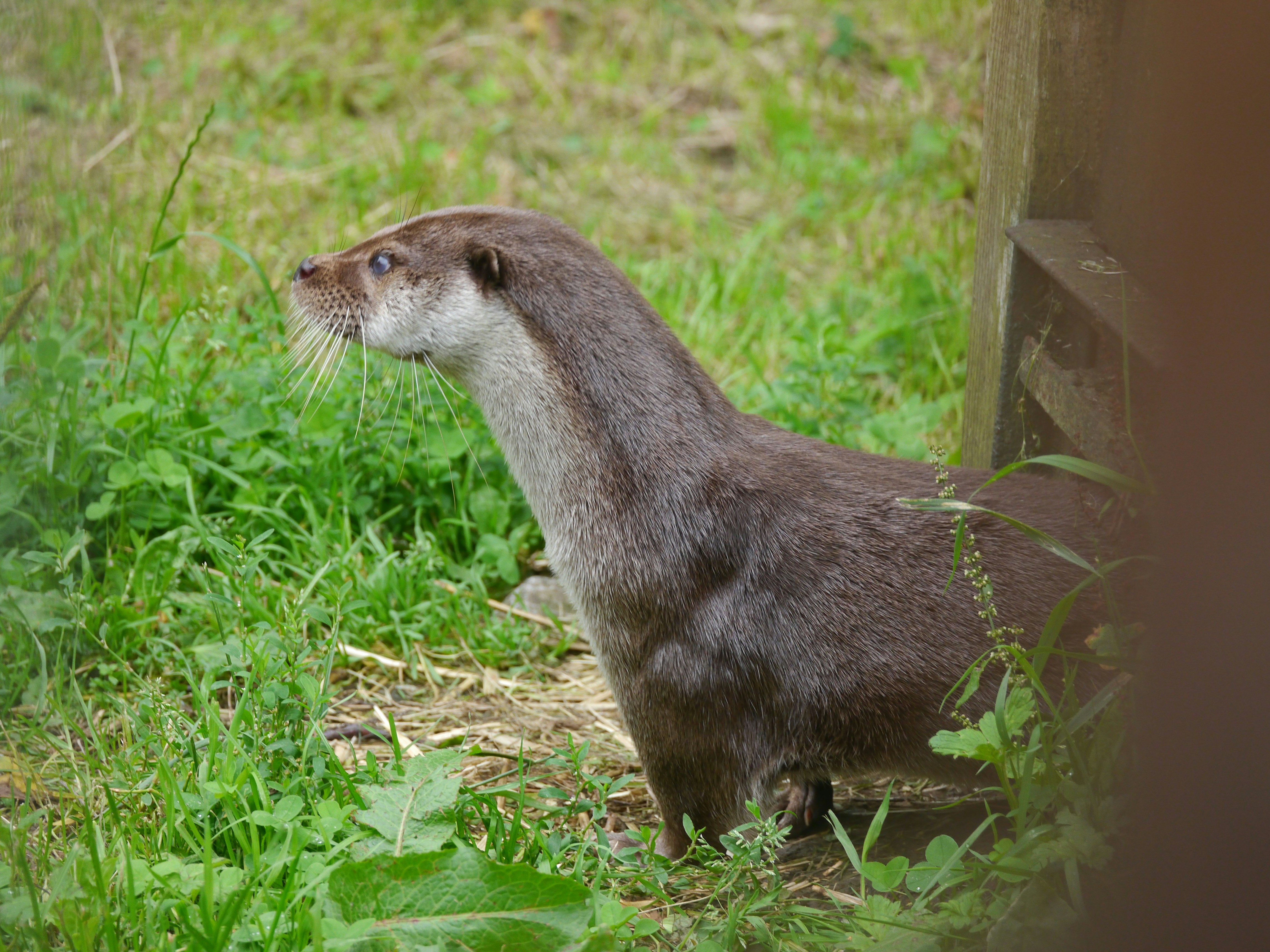 Photo by iqsphotography