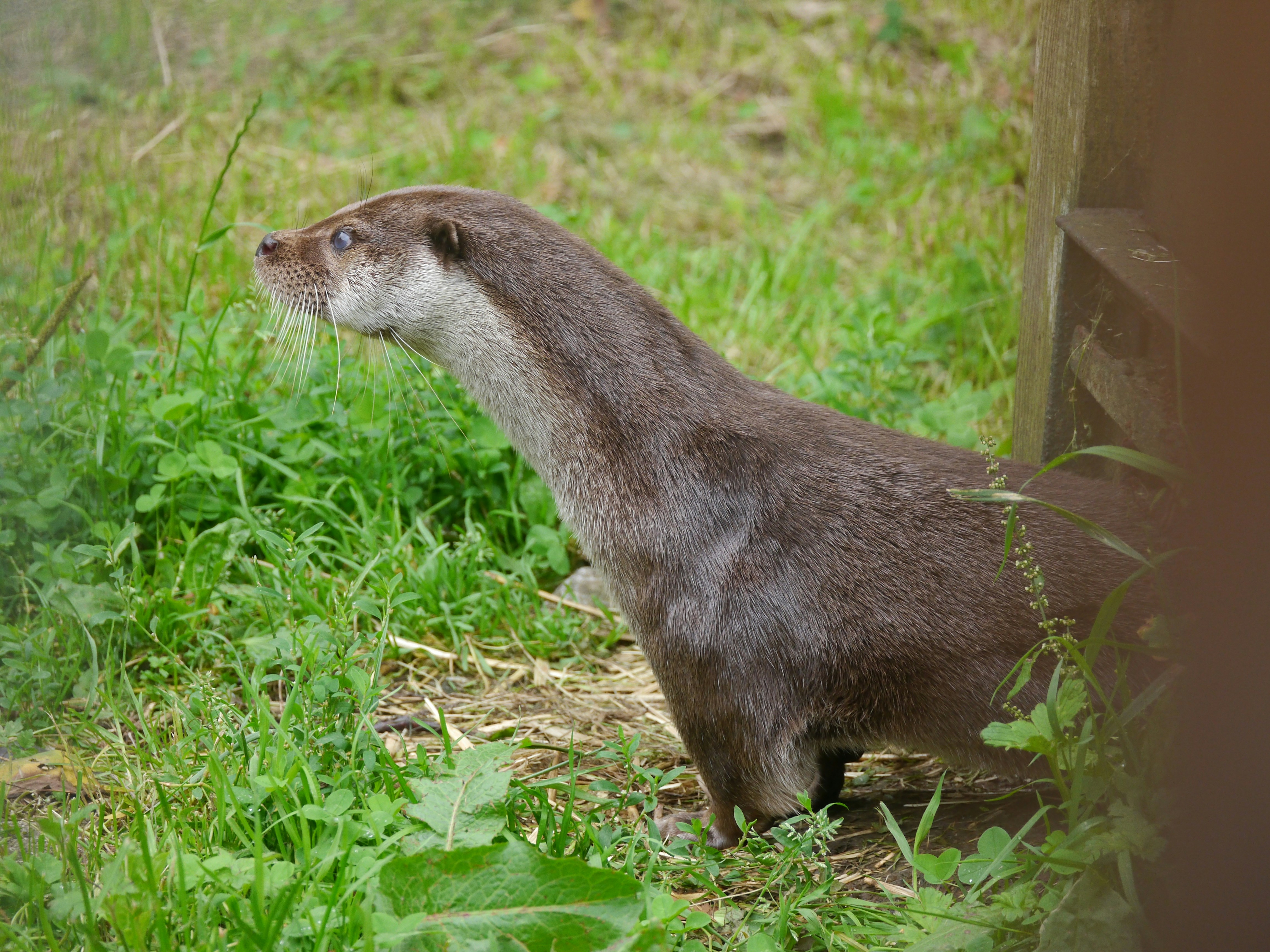 Photo by iqsphotography