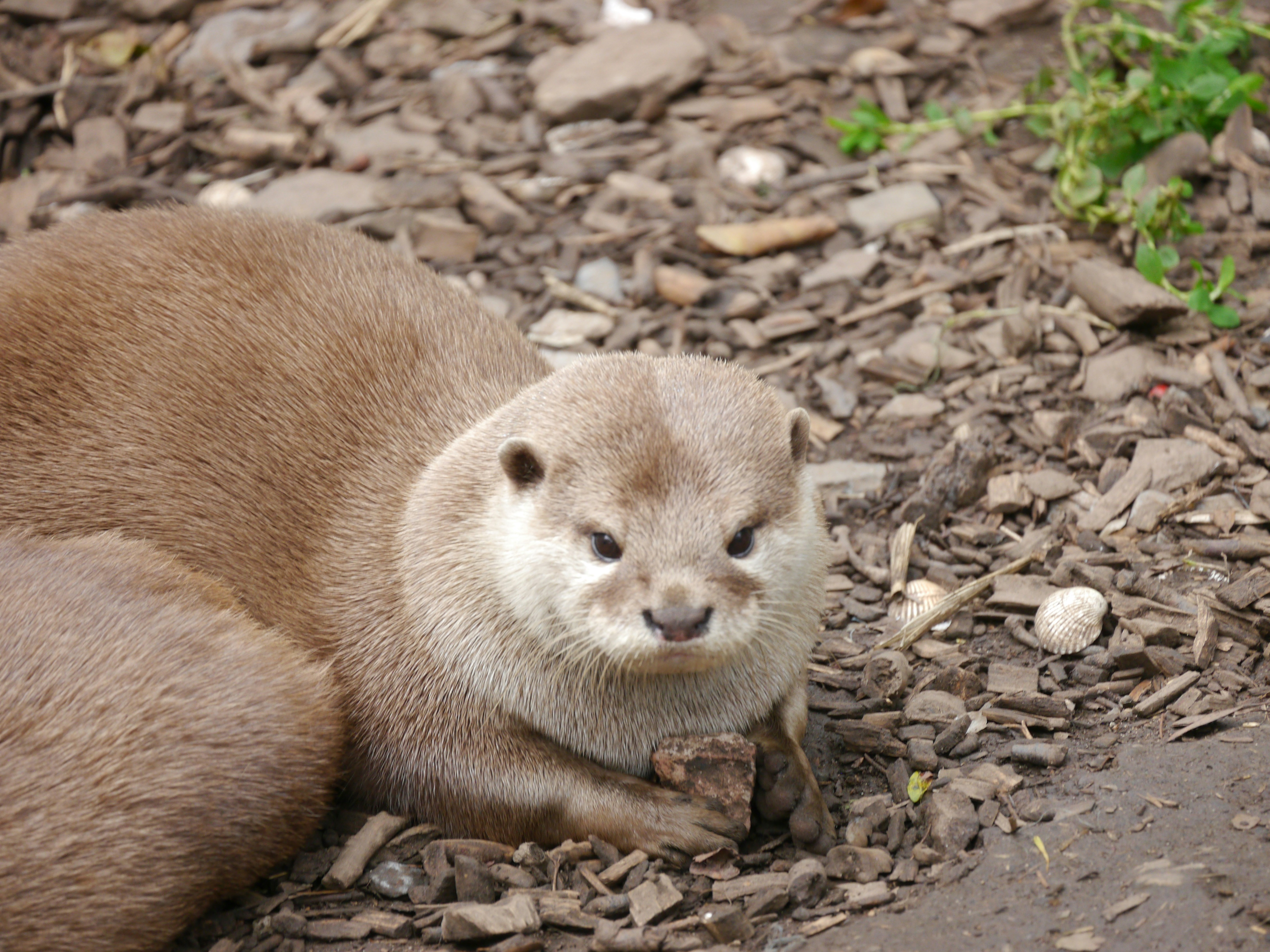 Photo by iqsphotography