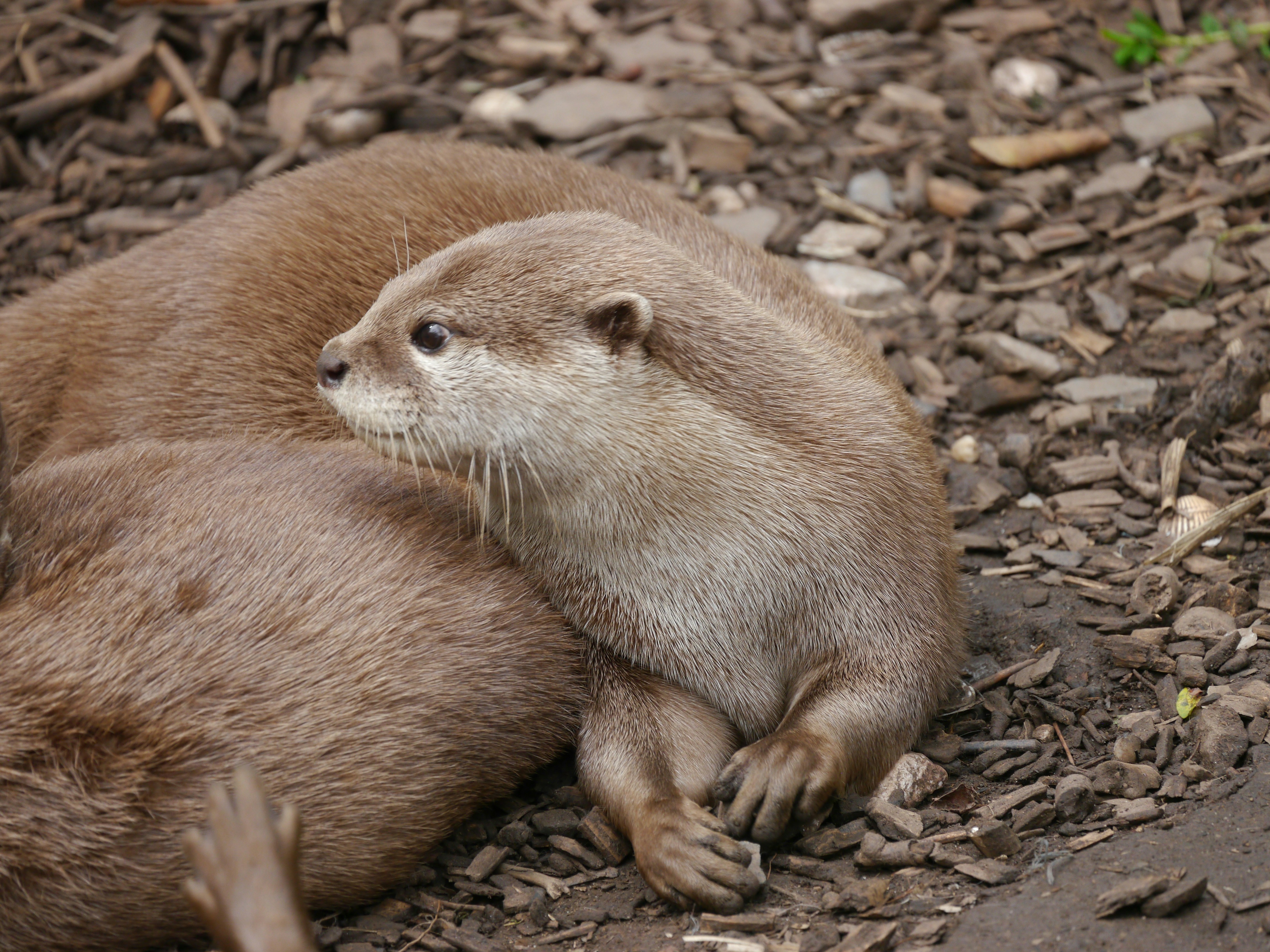 Photo by iqsphotography