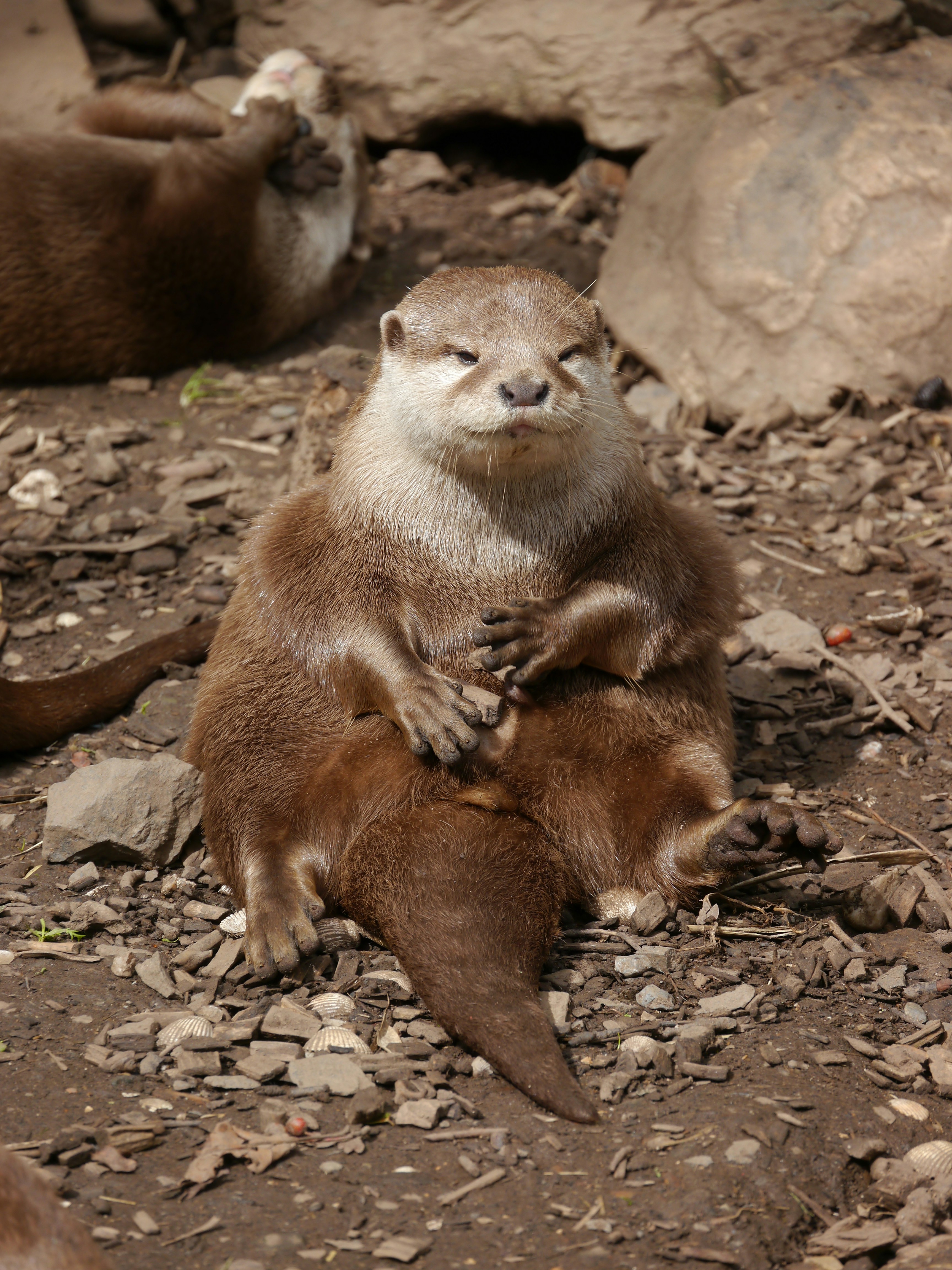 Photo by iqsphotography