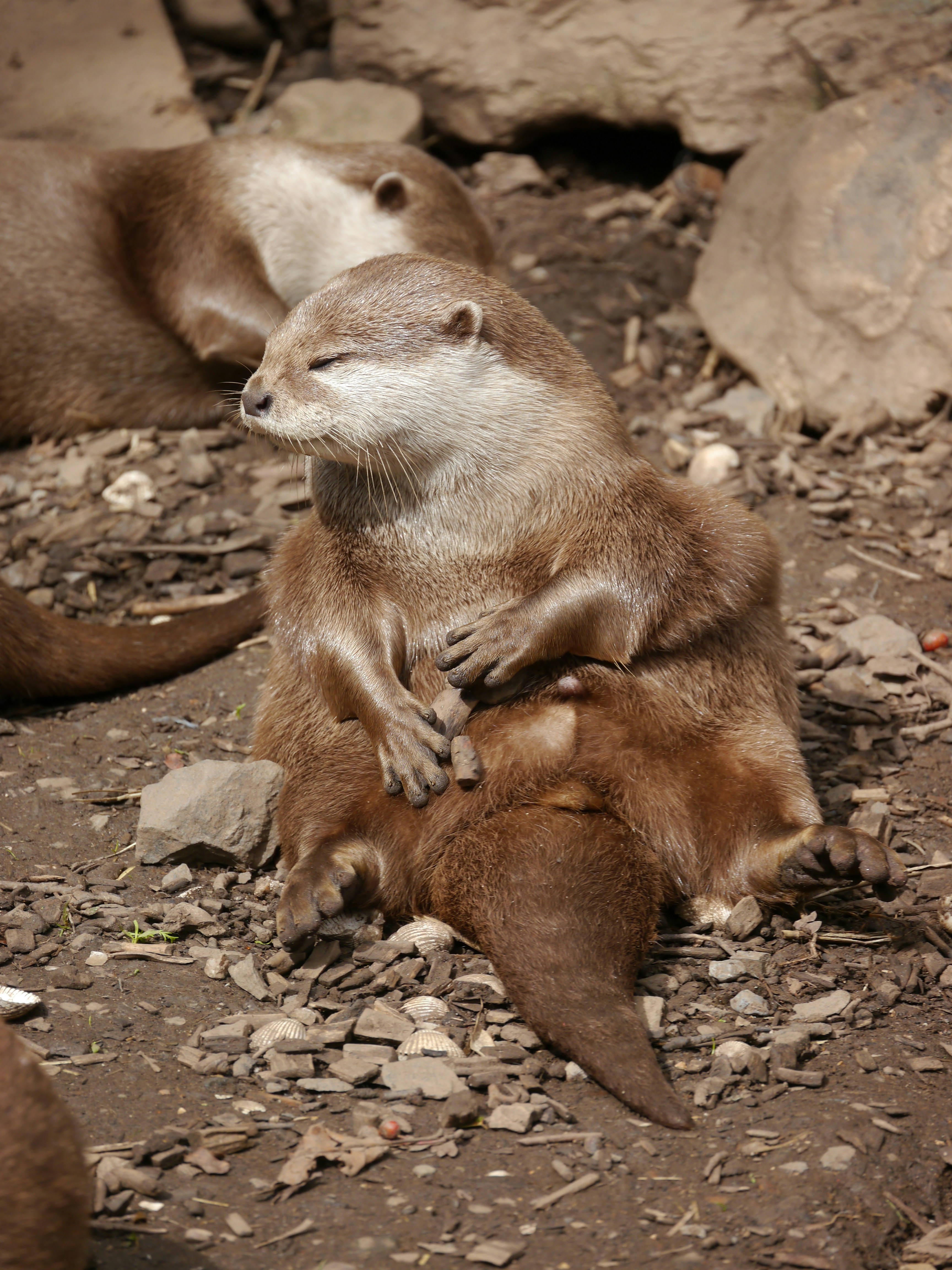 Photo by iqsphotography