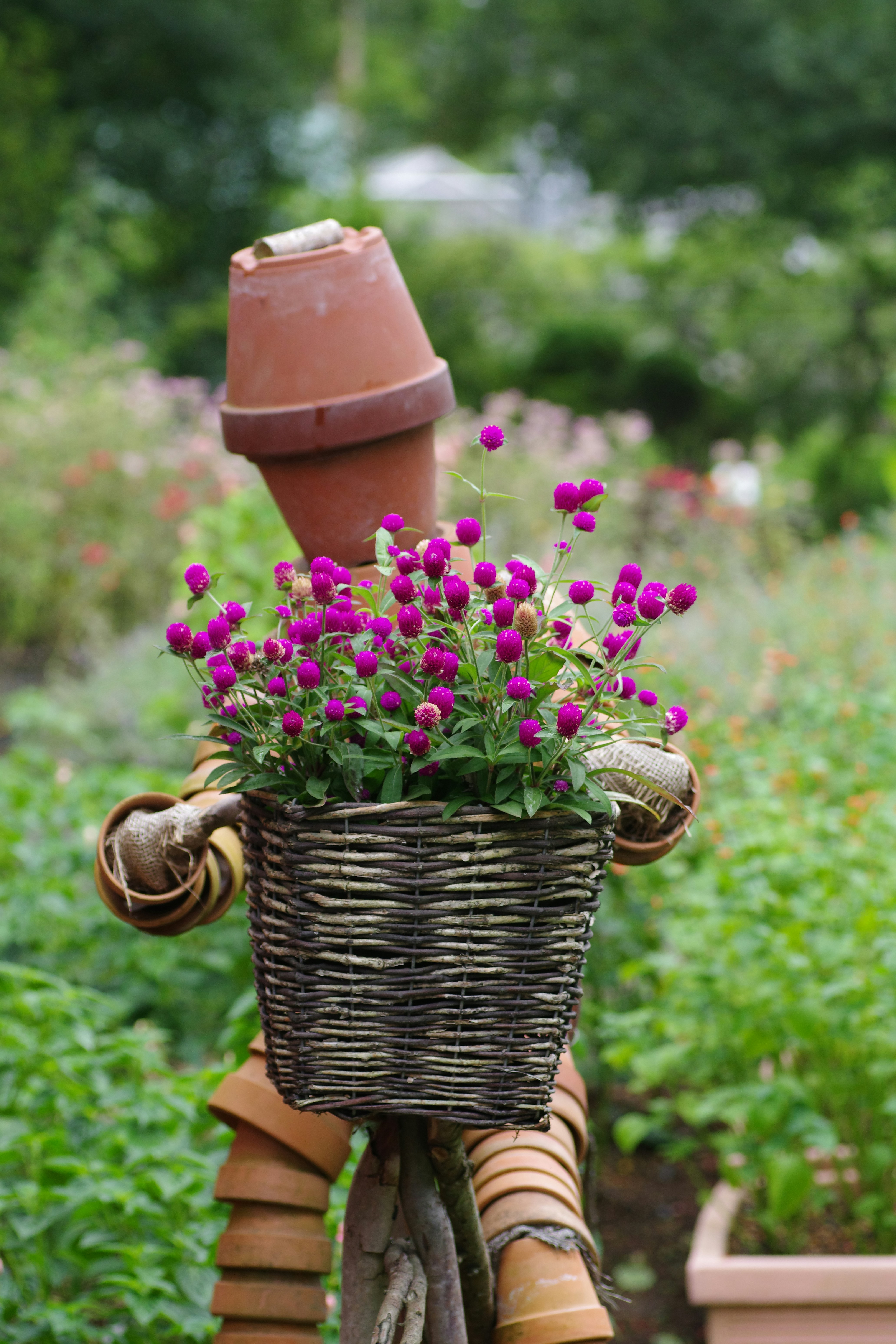 Promotions Jardinerie Année