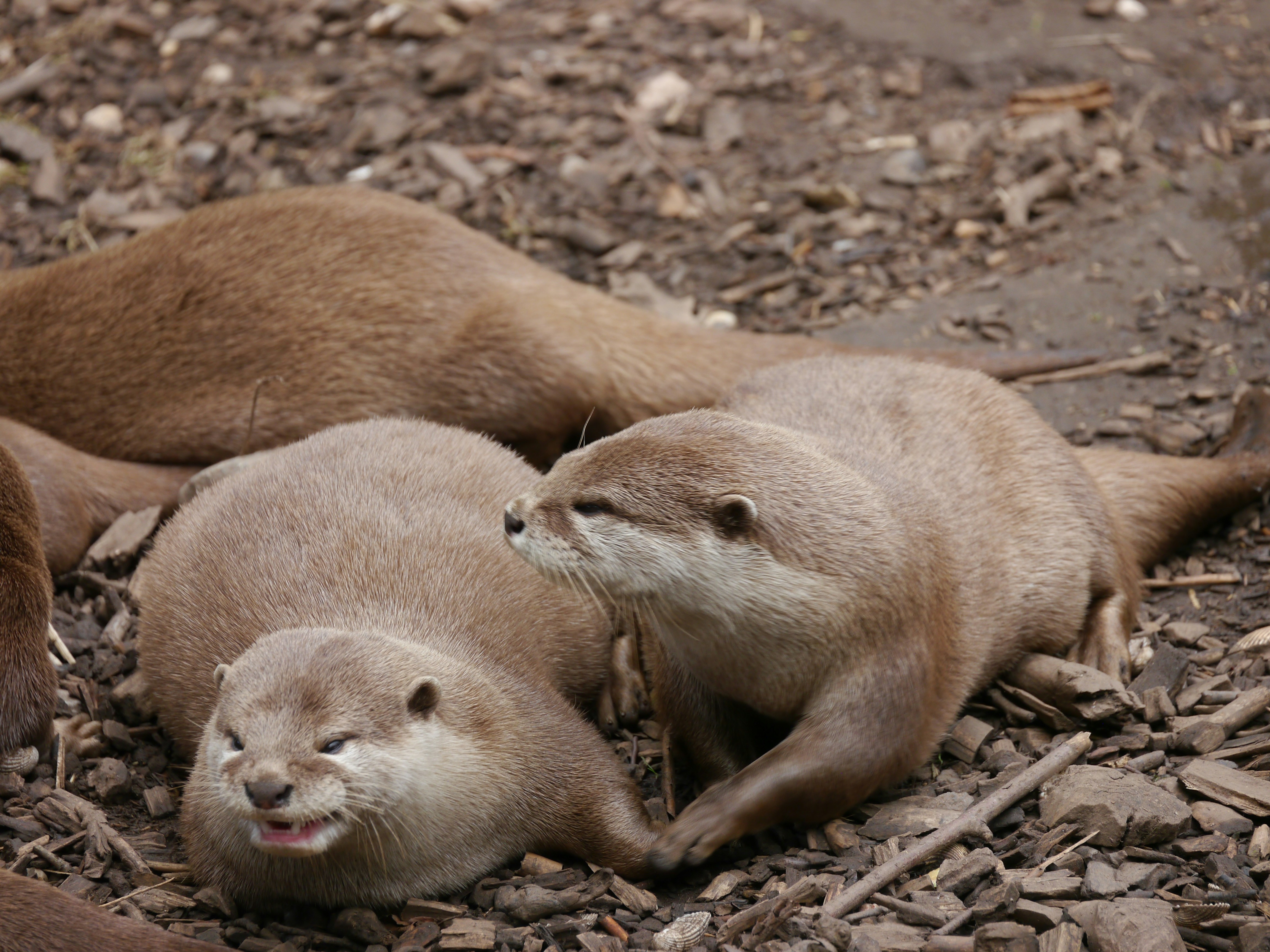 Photo by iqsphotography