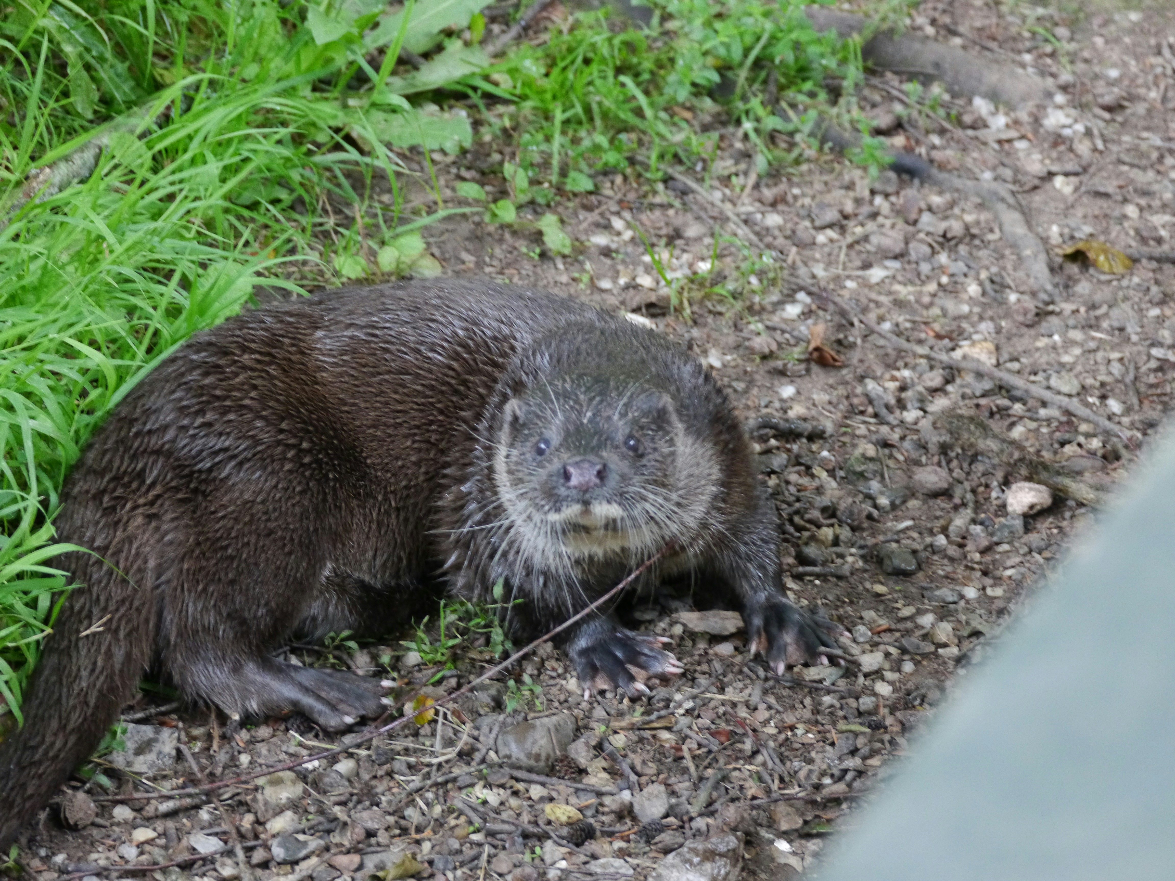 Photo by iqsphotography