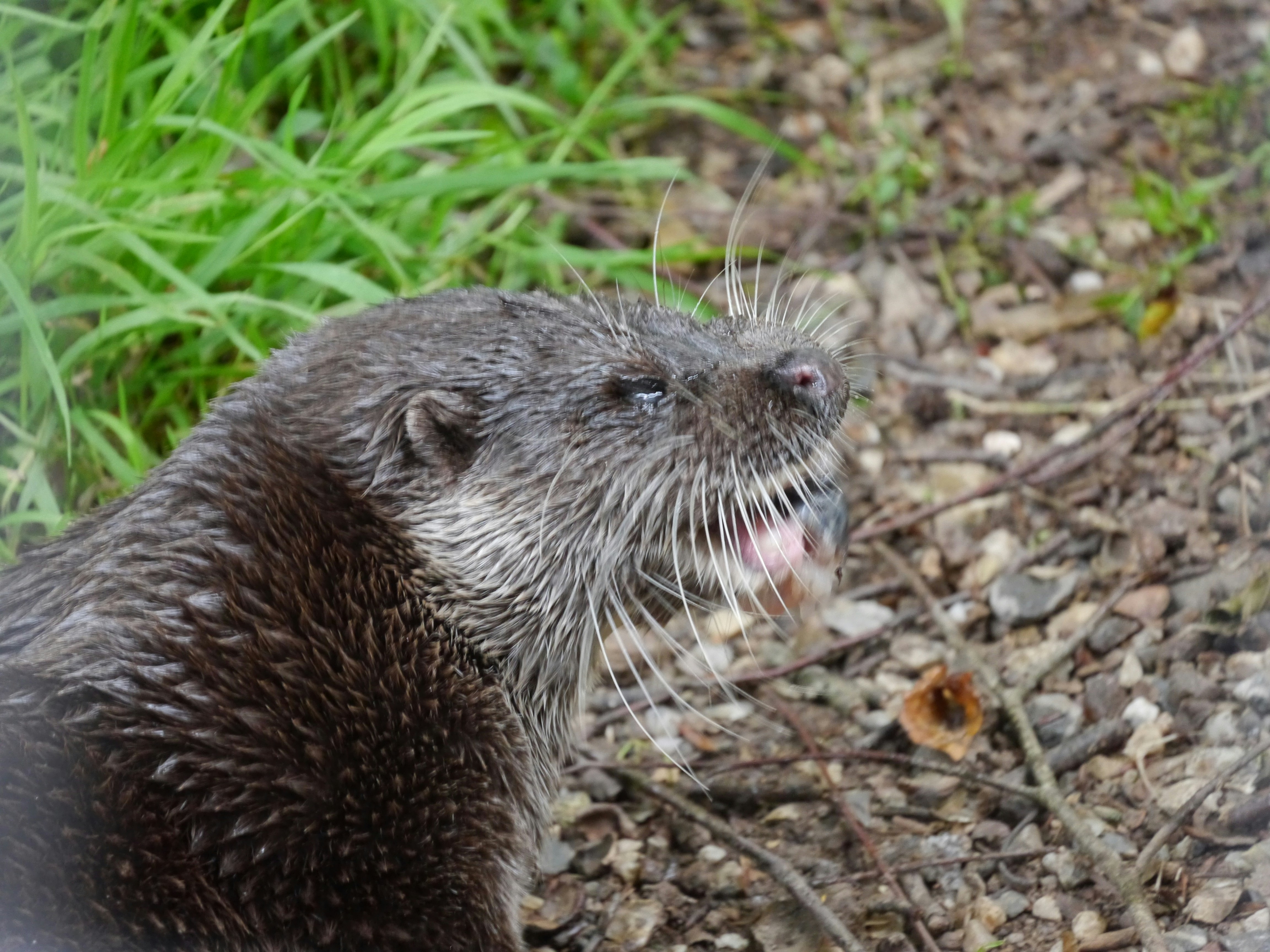 Photo by iqsphotography