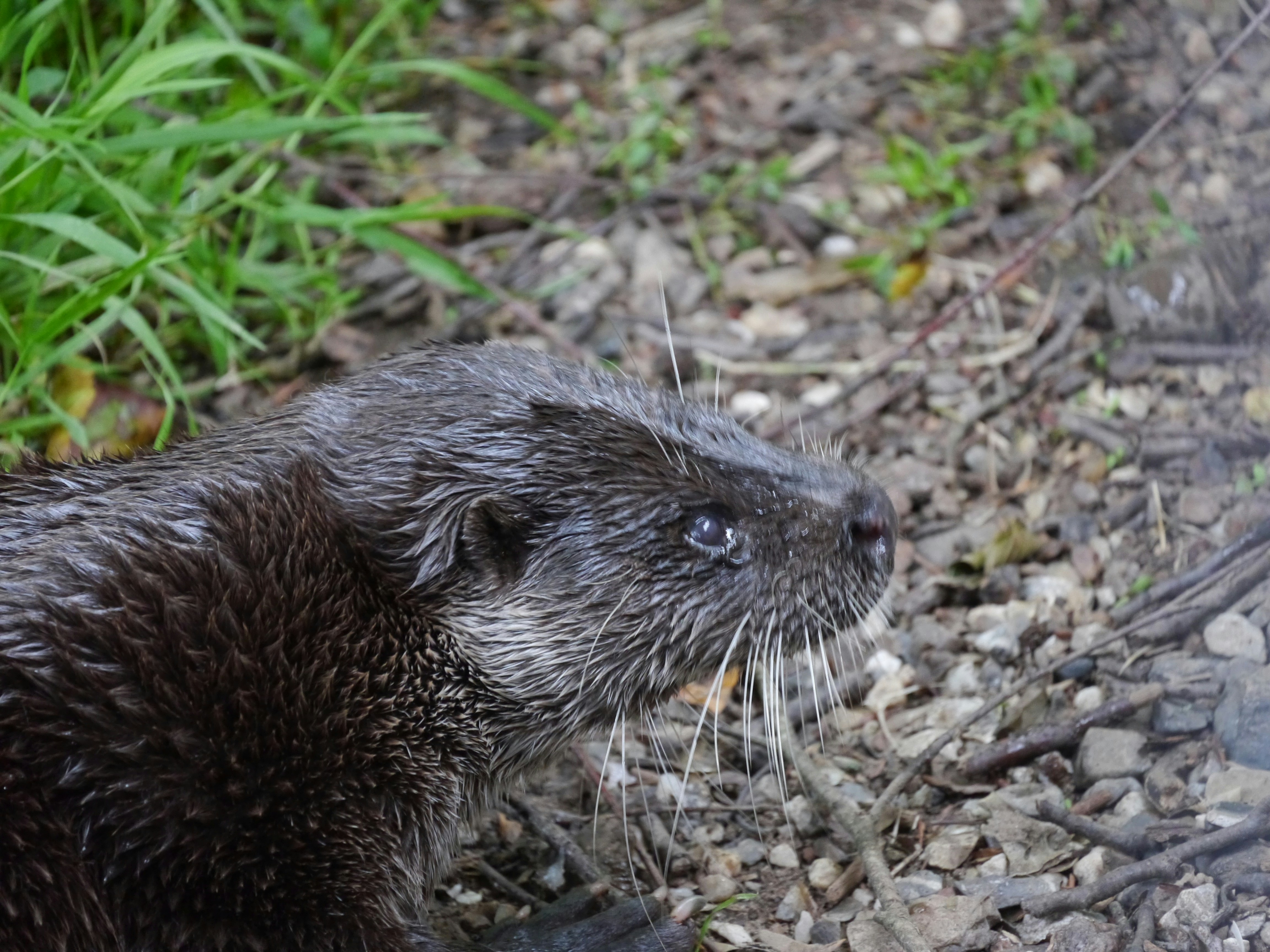 Photo by iqsphotography