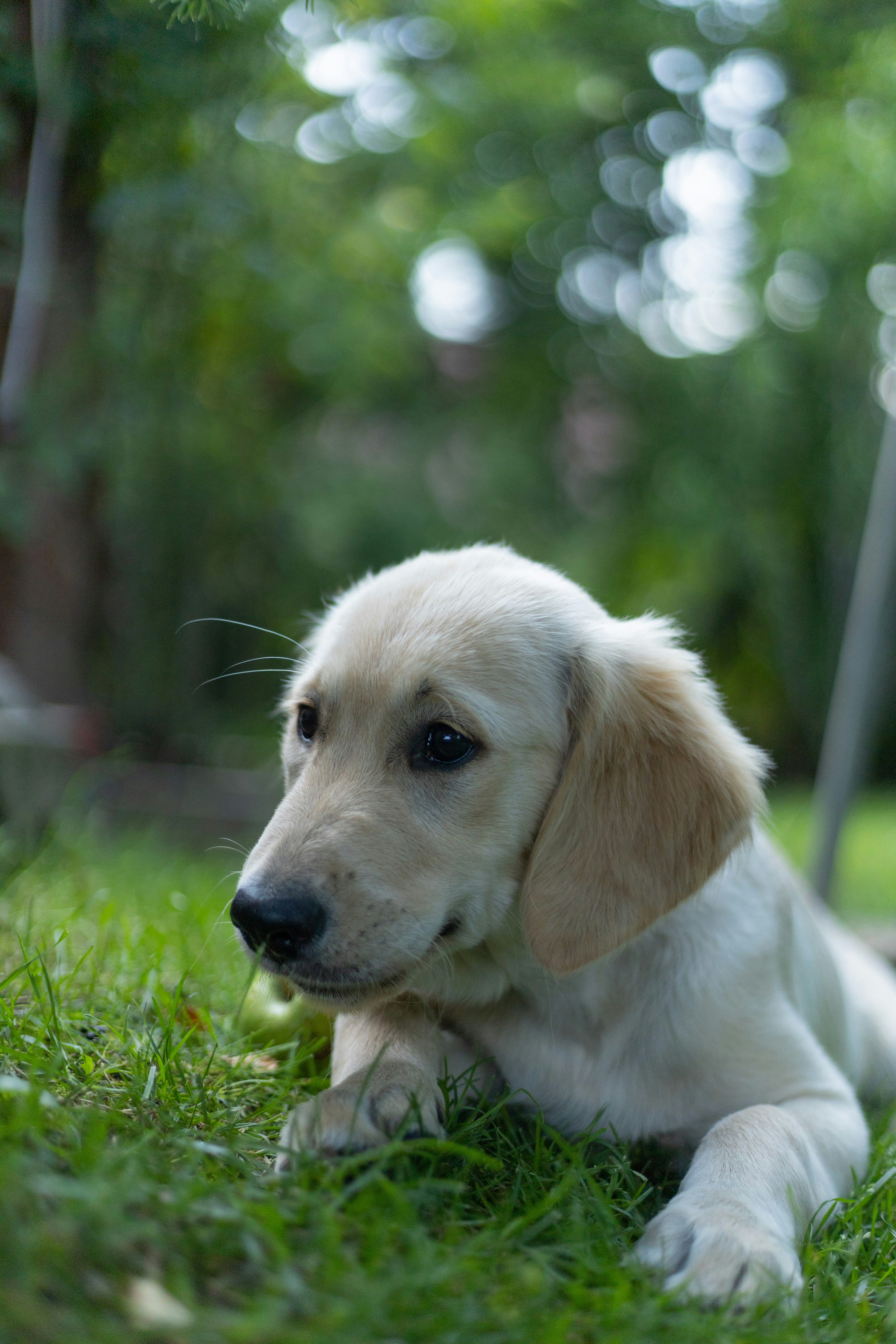 Photo by albertdavid6