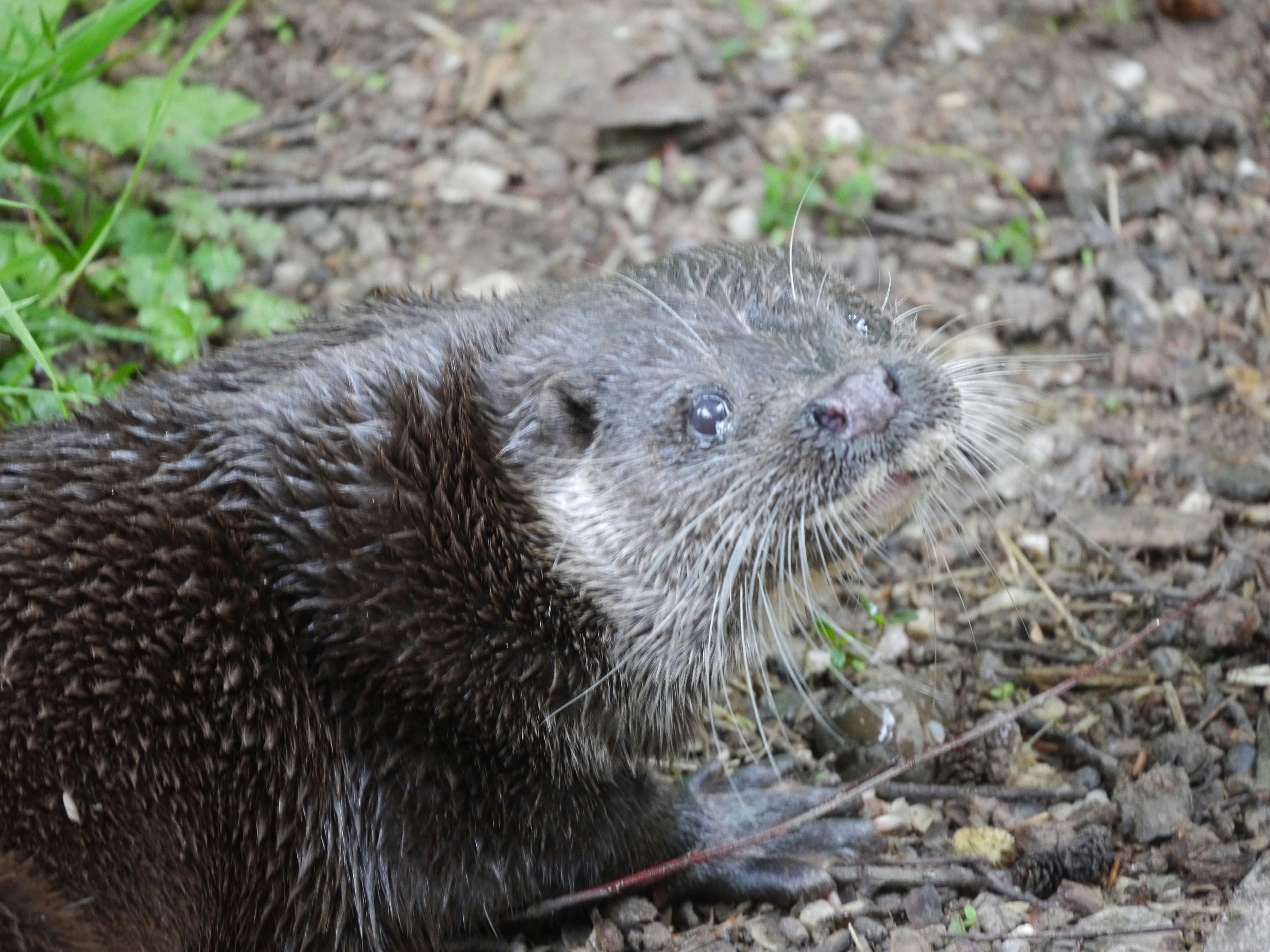 Photo by iqsphotography