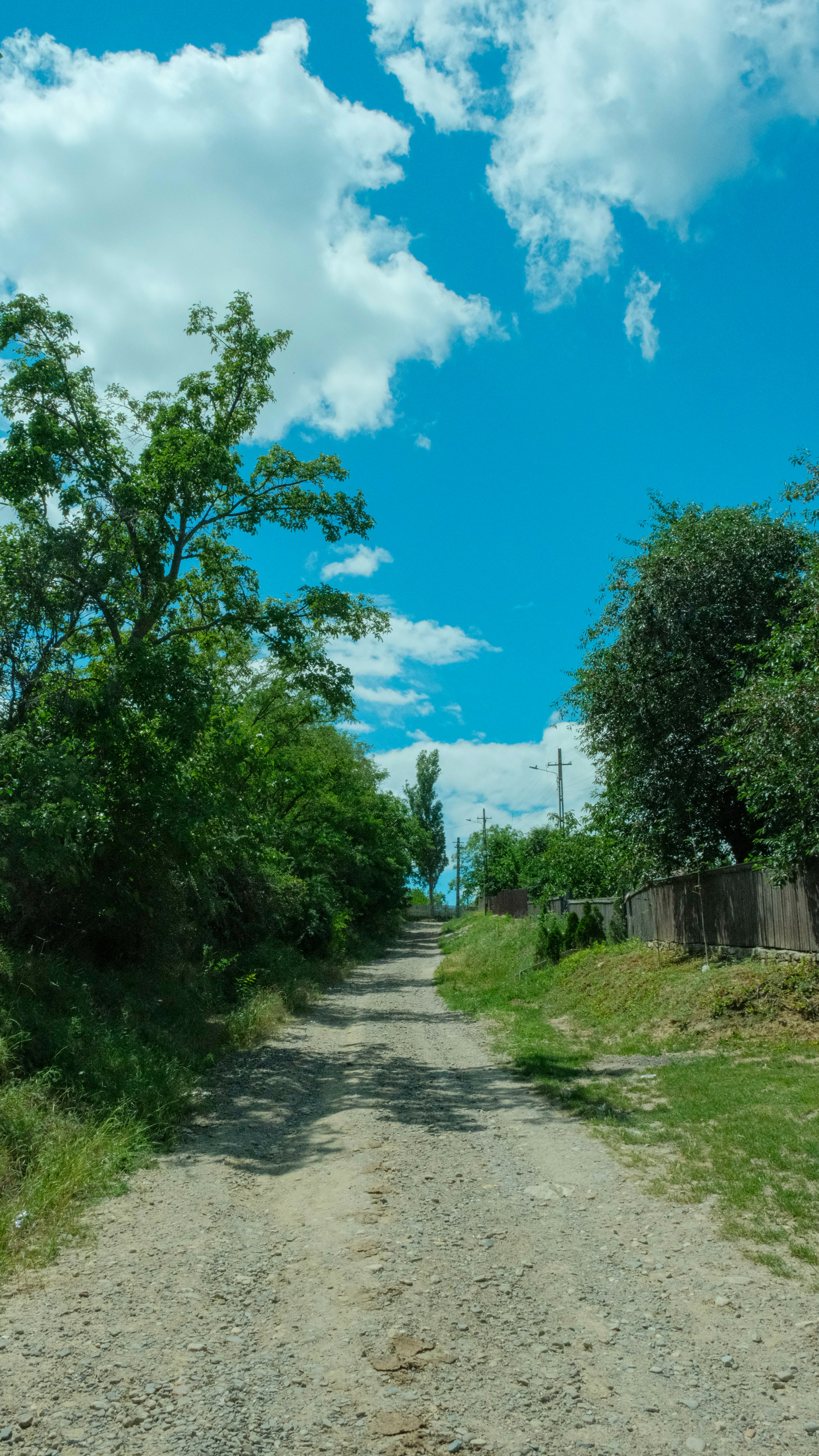 Photo by denisaficau