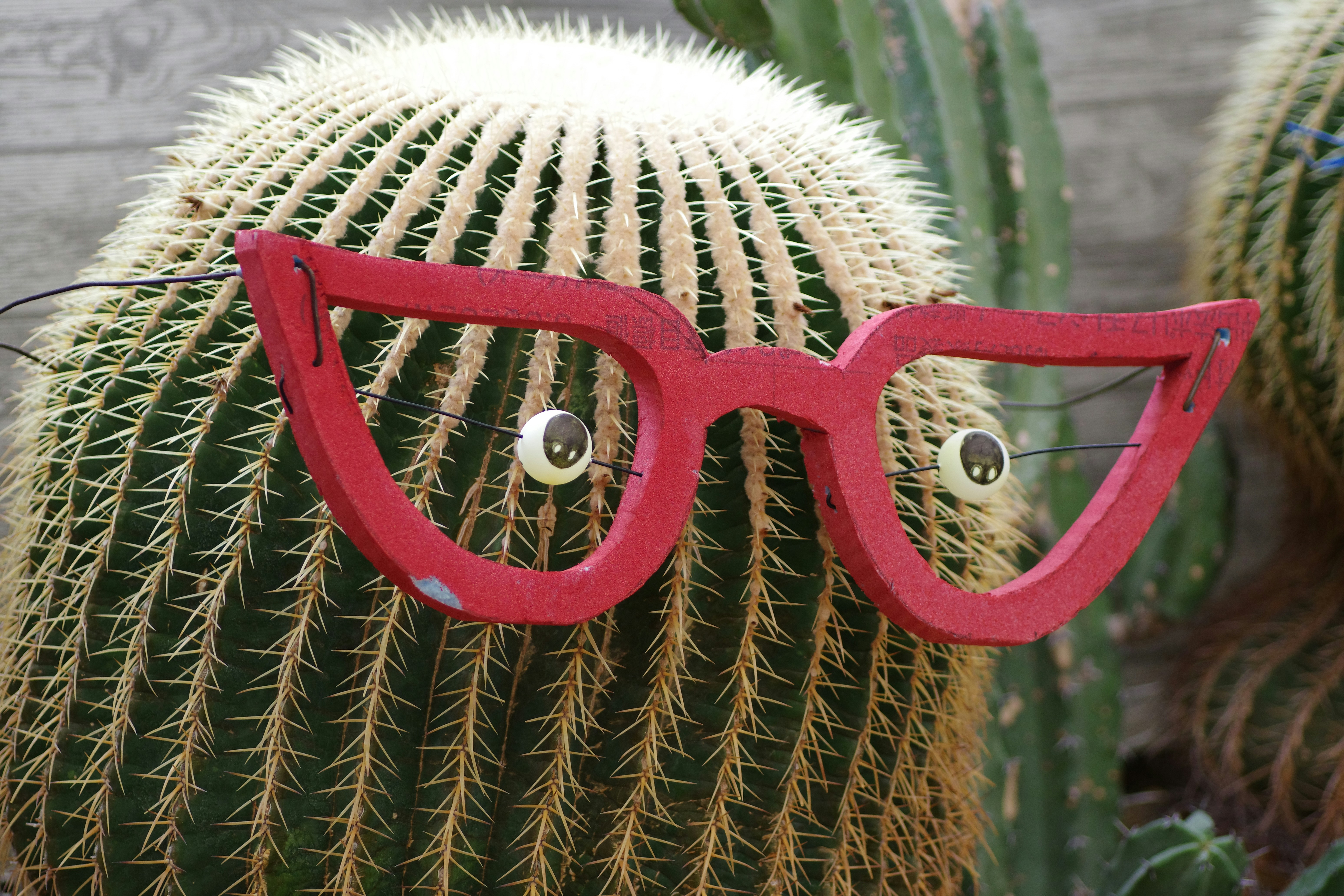 Tagalog Language Learning: Updates from Your Teacher