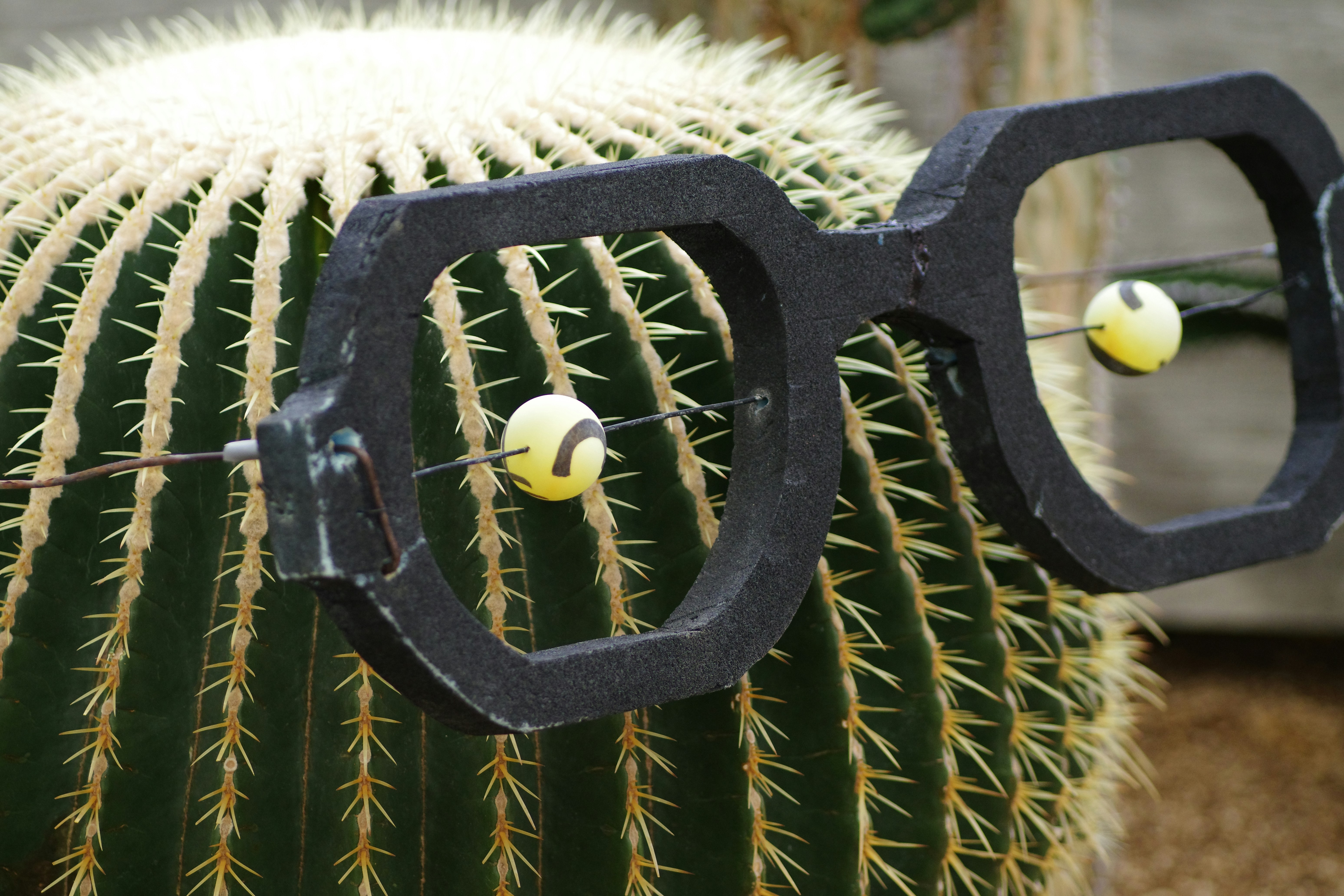 A close up of a cactus with a pair of scissors