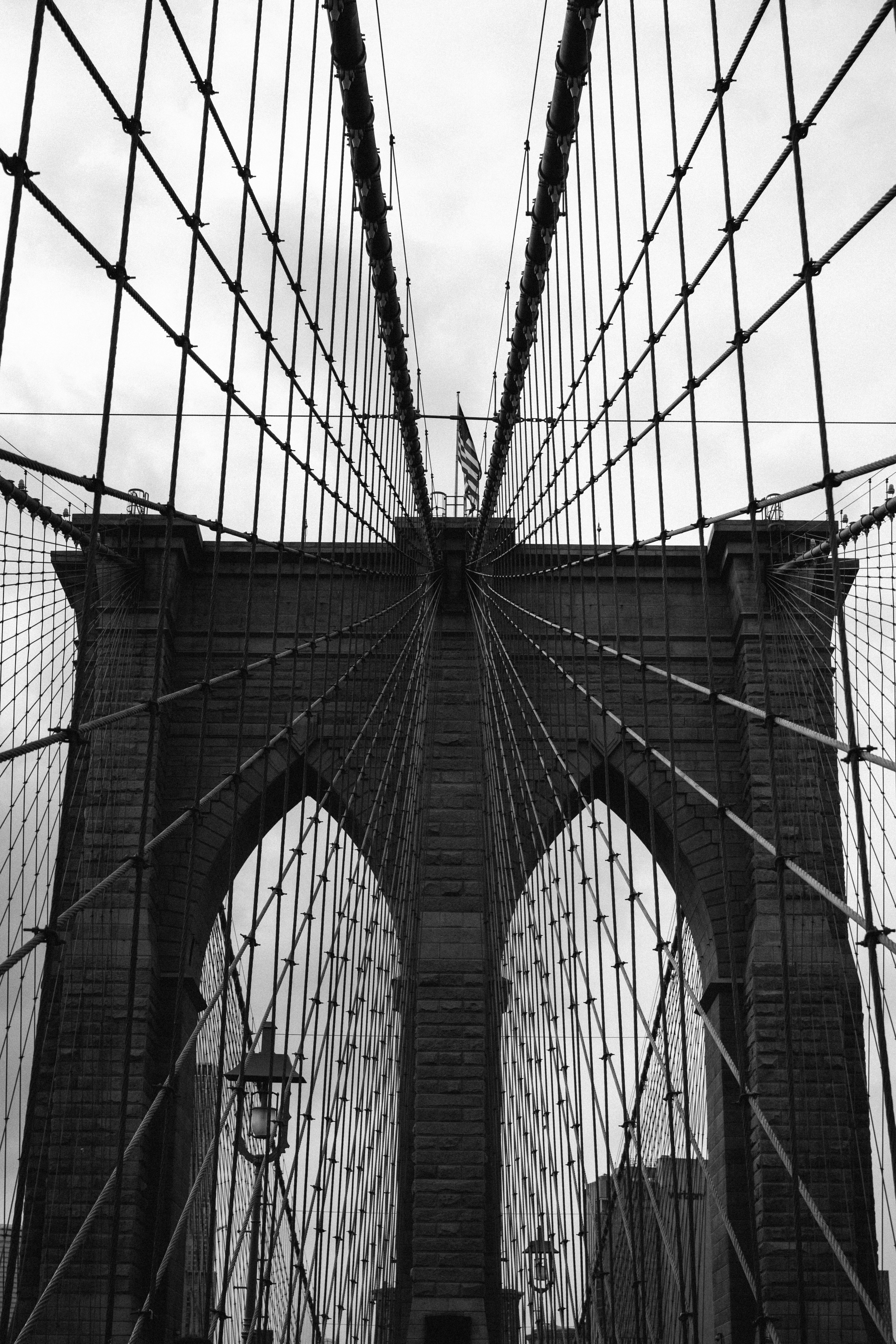 Photo by collinmarkross