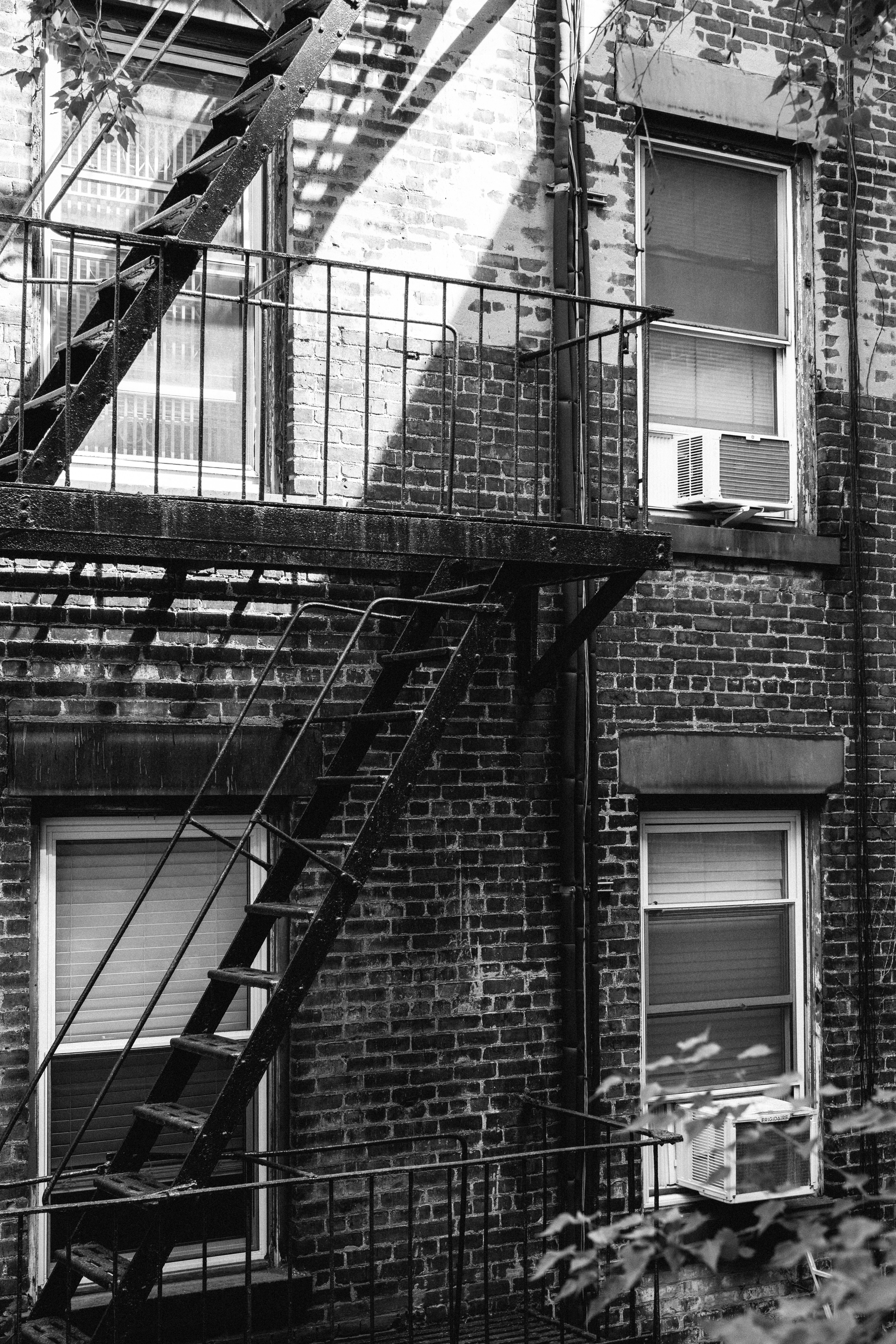 Photo by collinmarkross