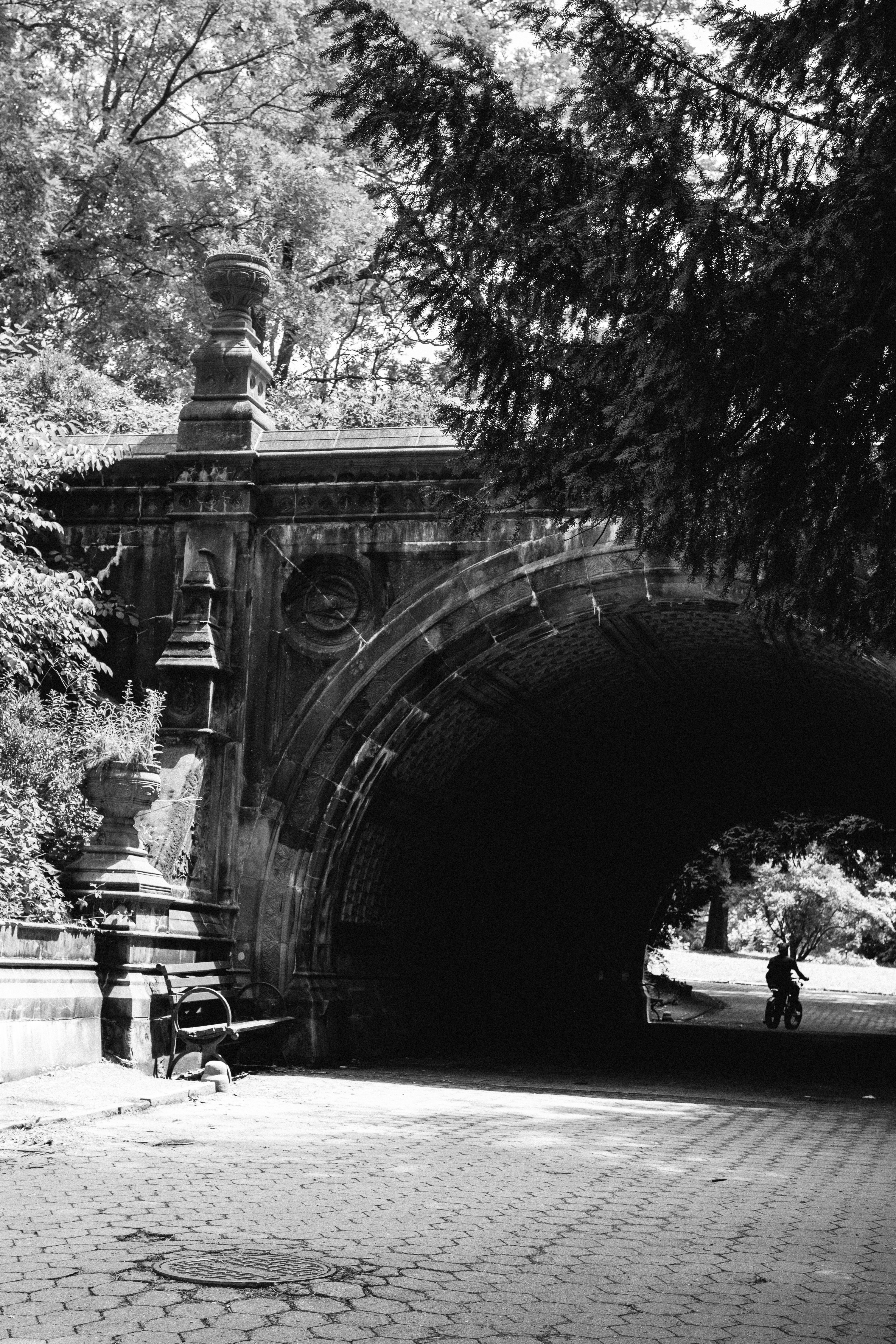 Photo by collinmarkross