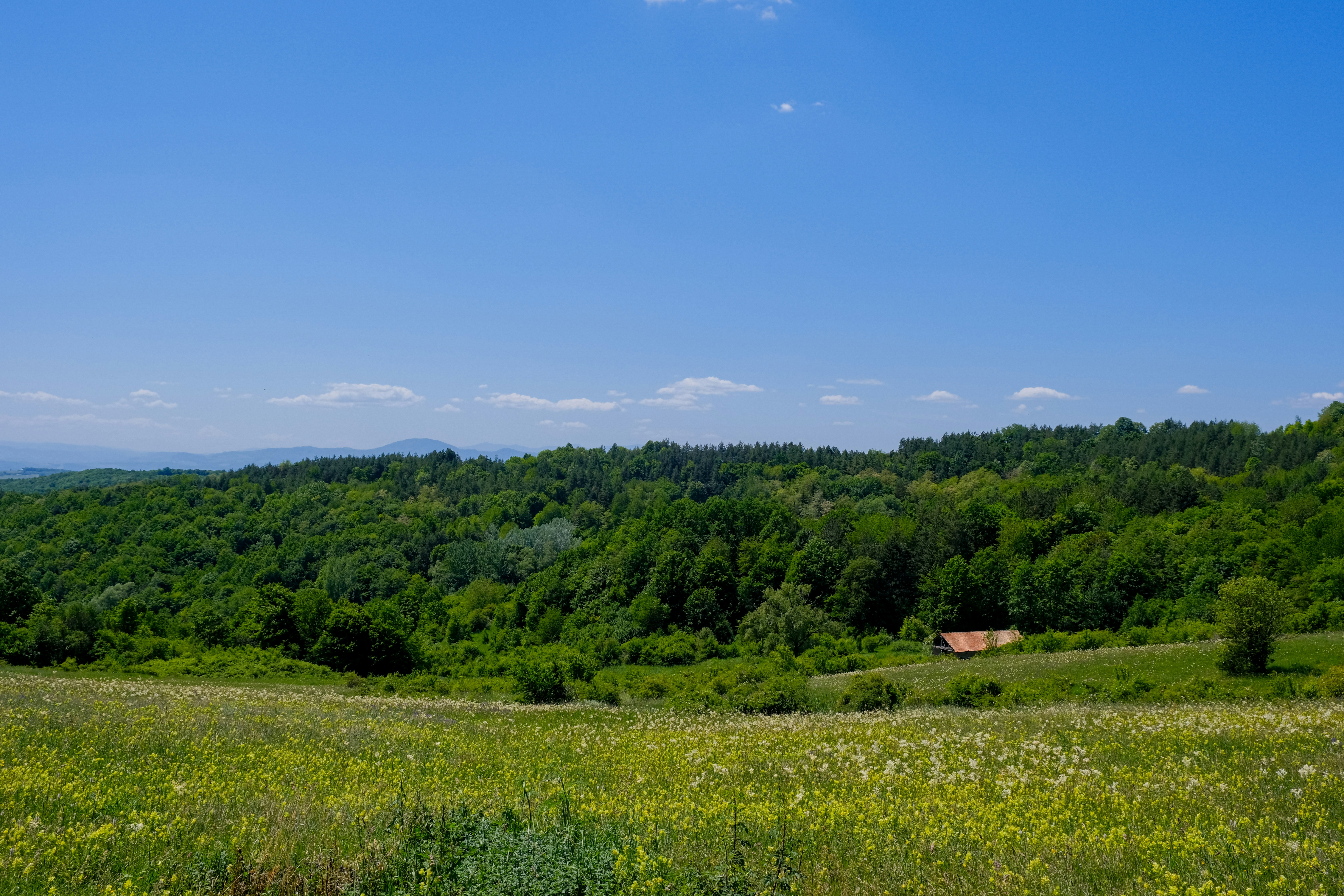 Photo by denisaficau