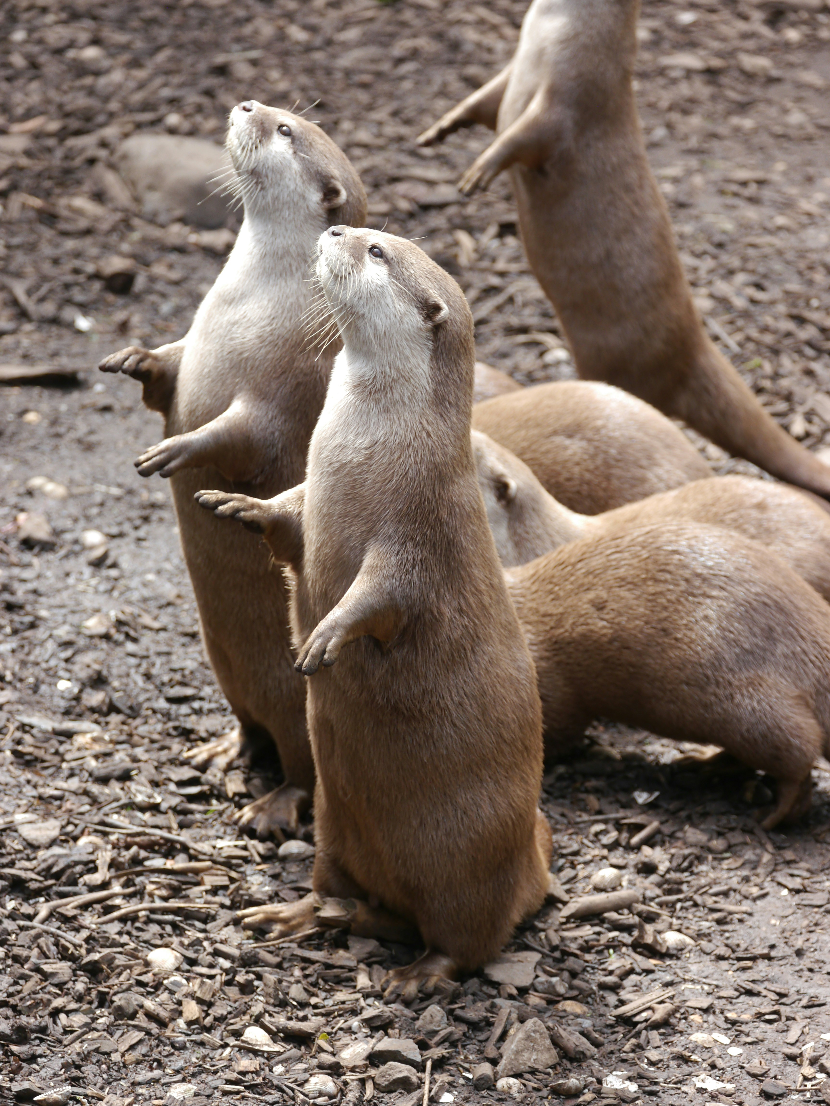 Photo by iqsphotography