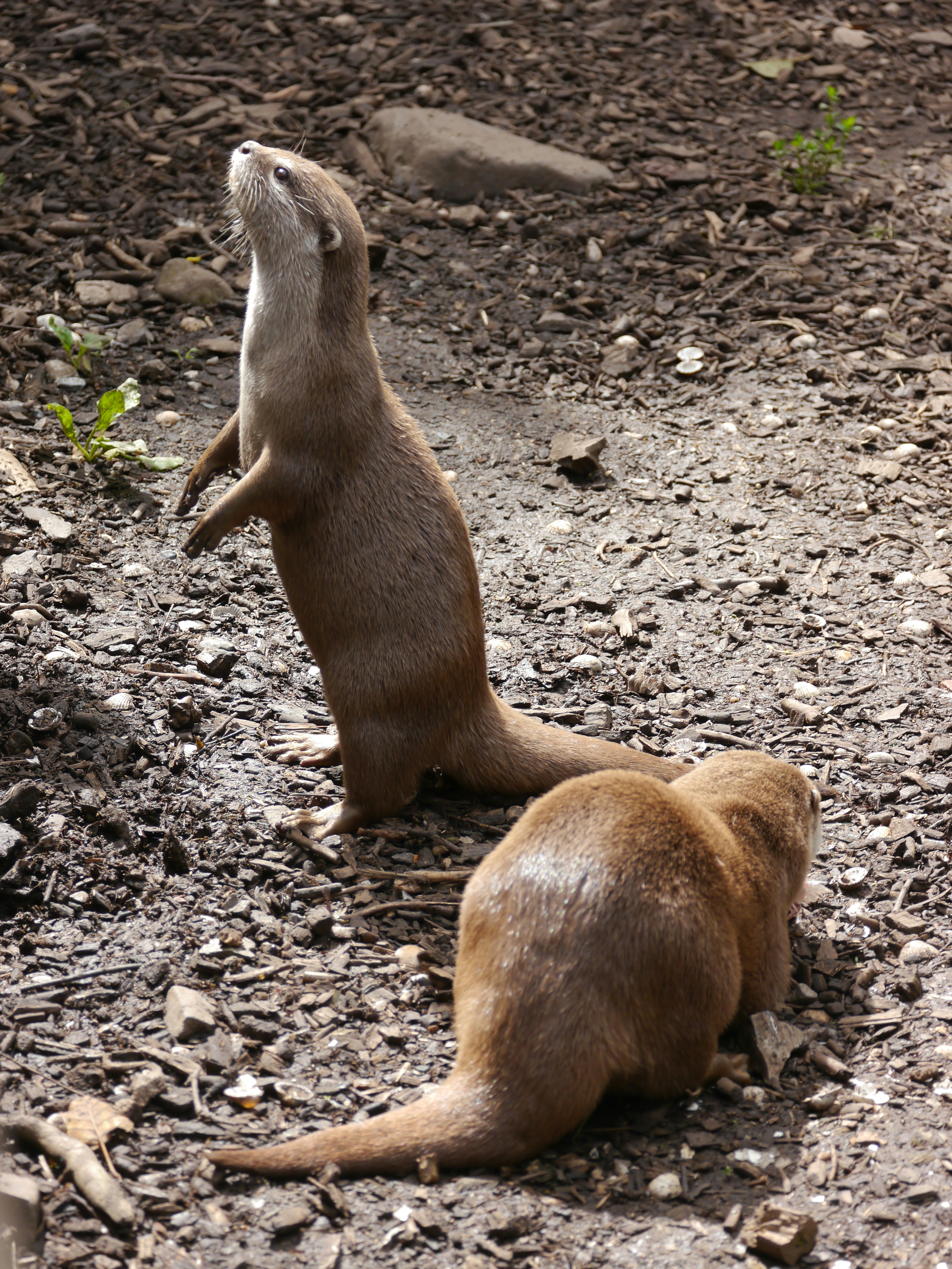 Photo by iqsphotography