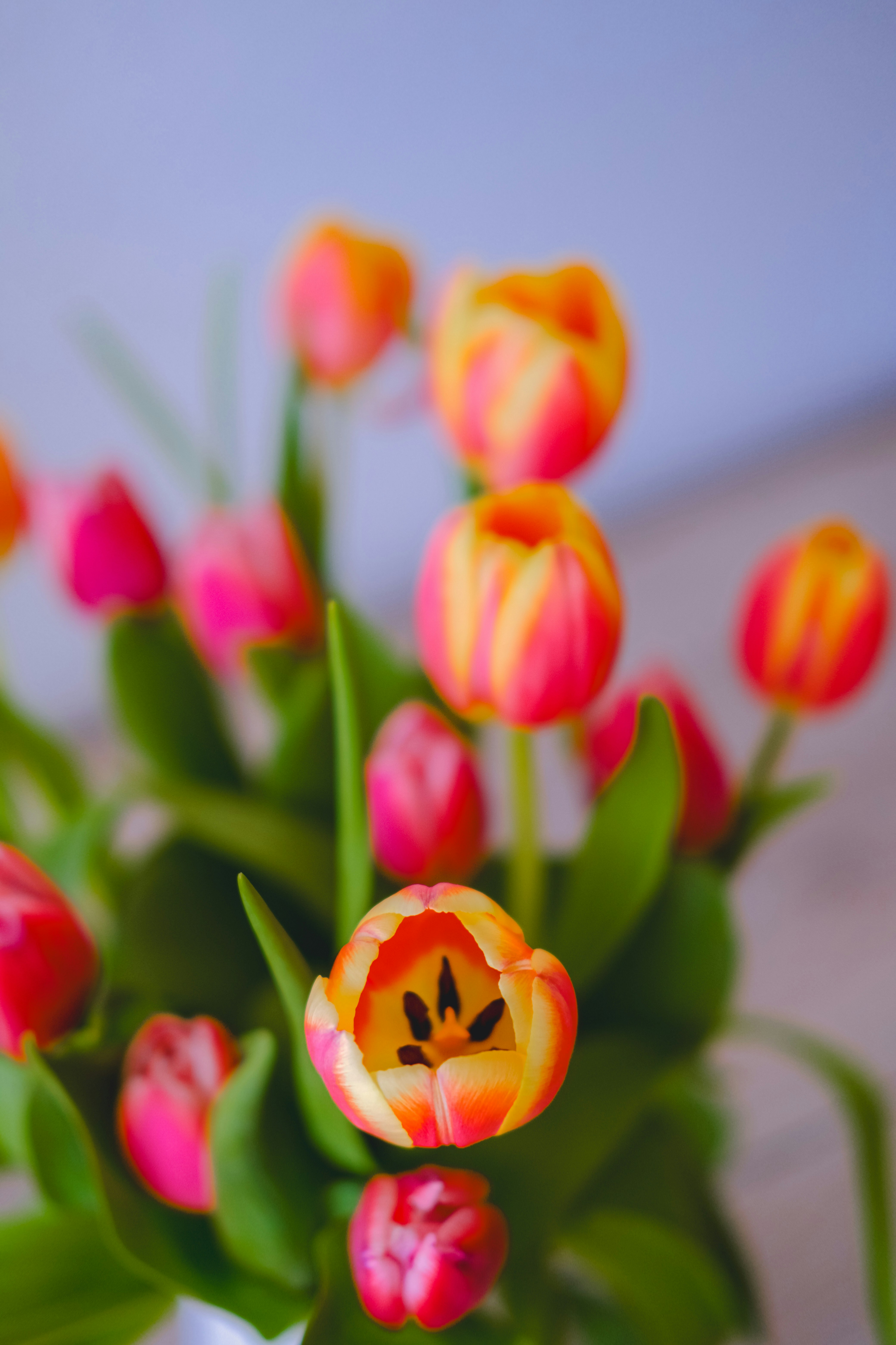 Photo by denisaficau