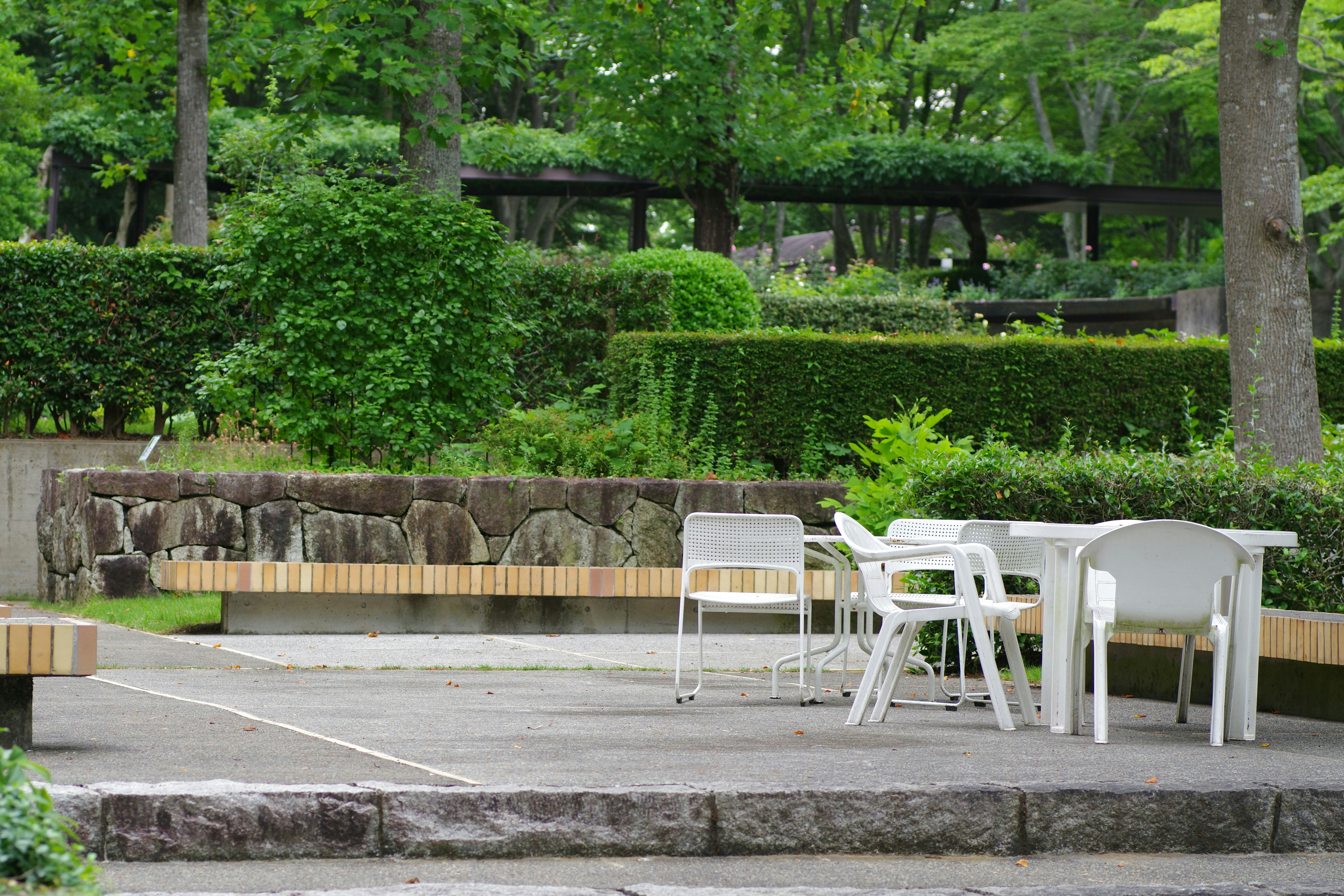 Photo by naopp