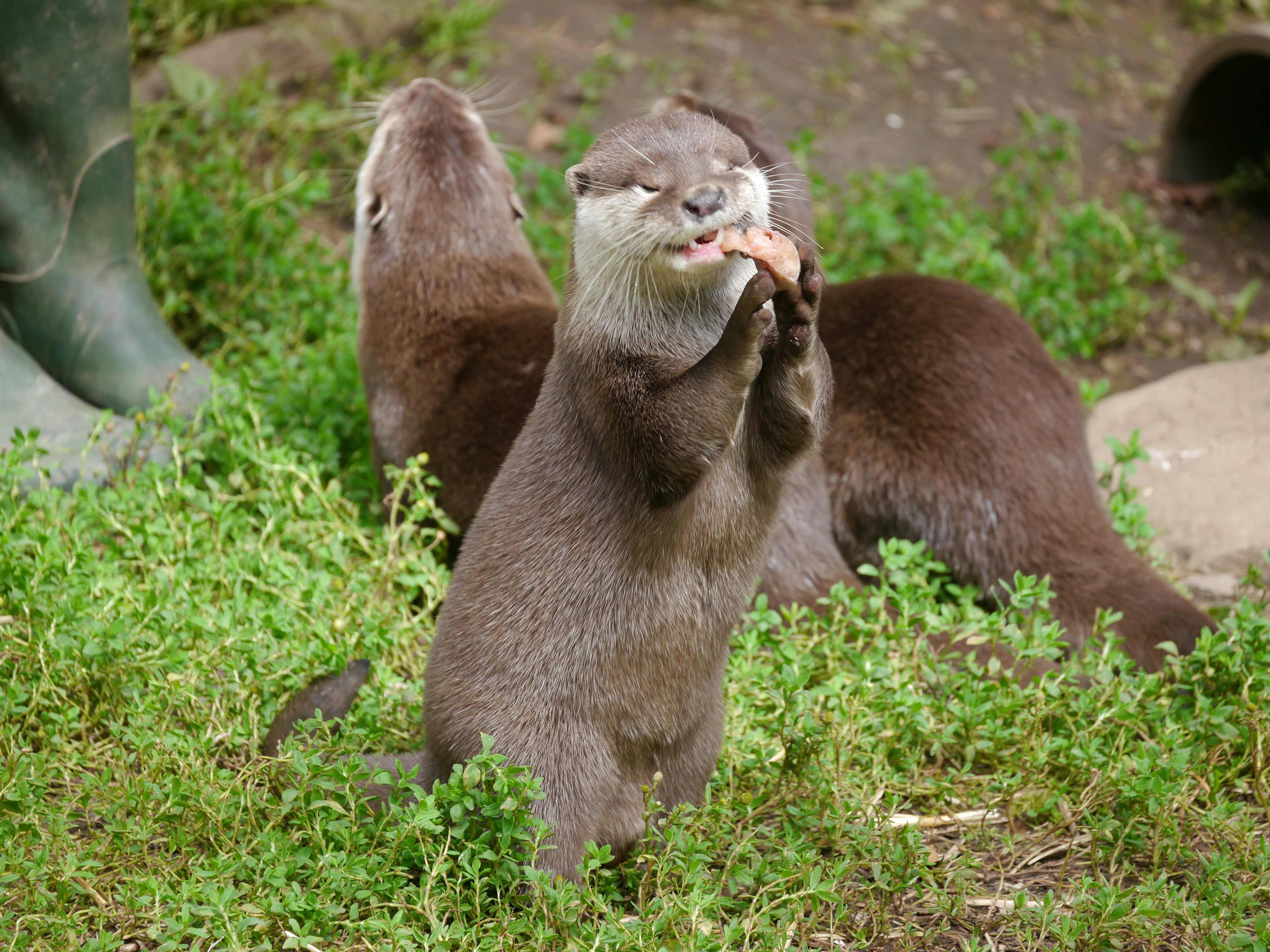 woman wearing yellow long-sleeved dress under white clouds and blue sky during daytime