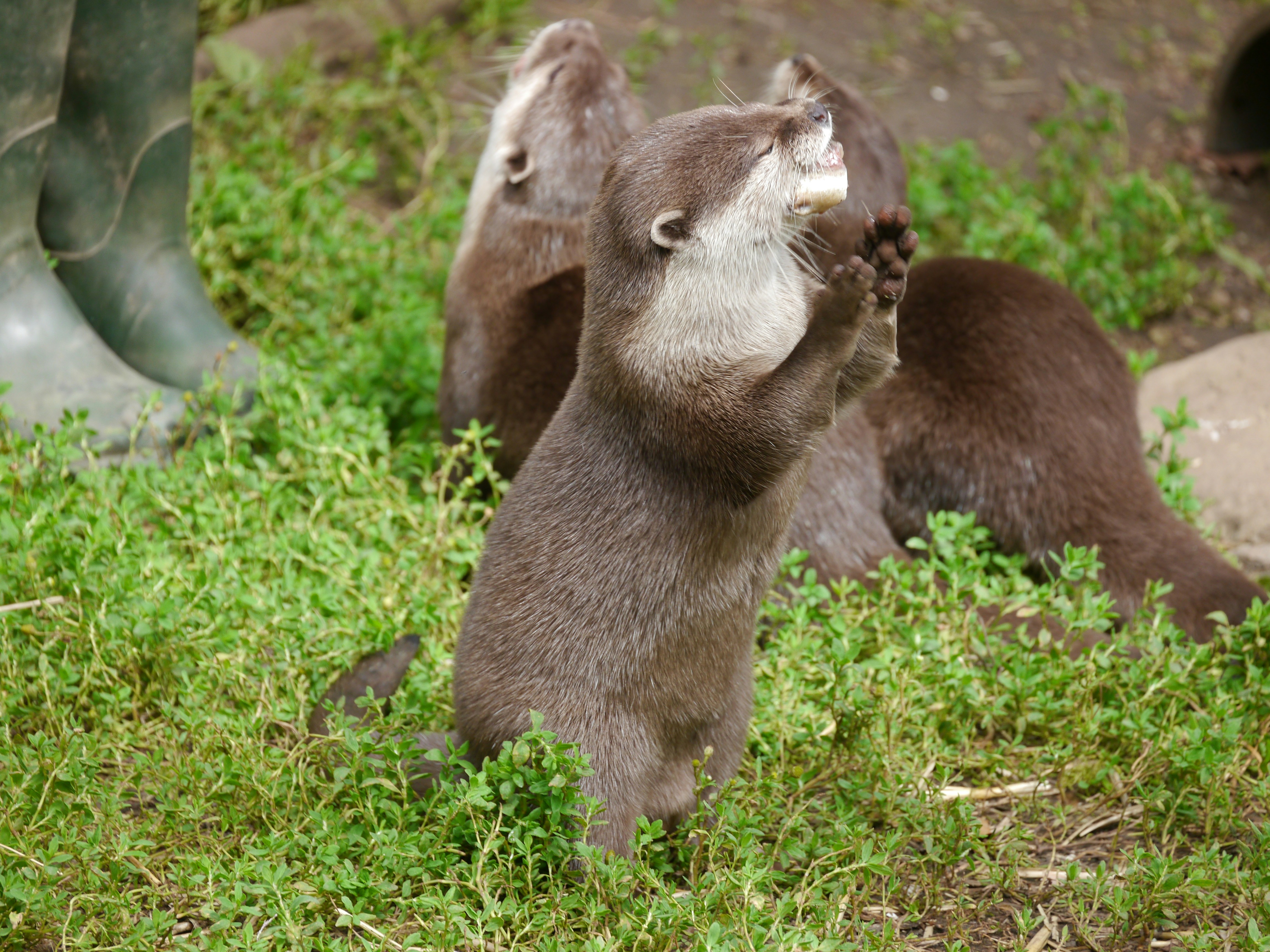 Photo by iqsphotography