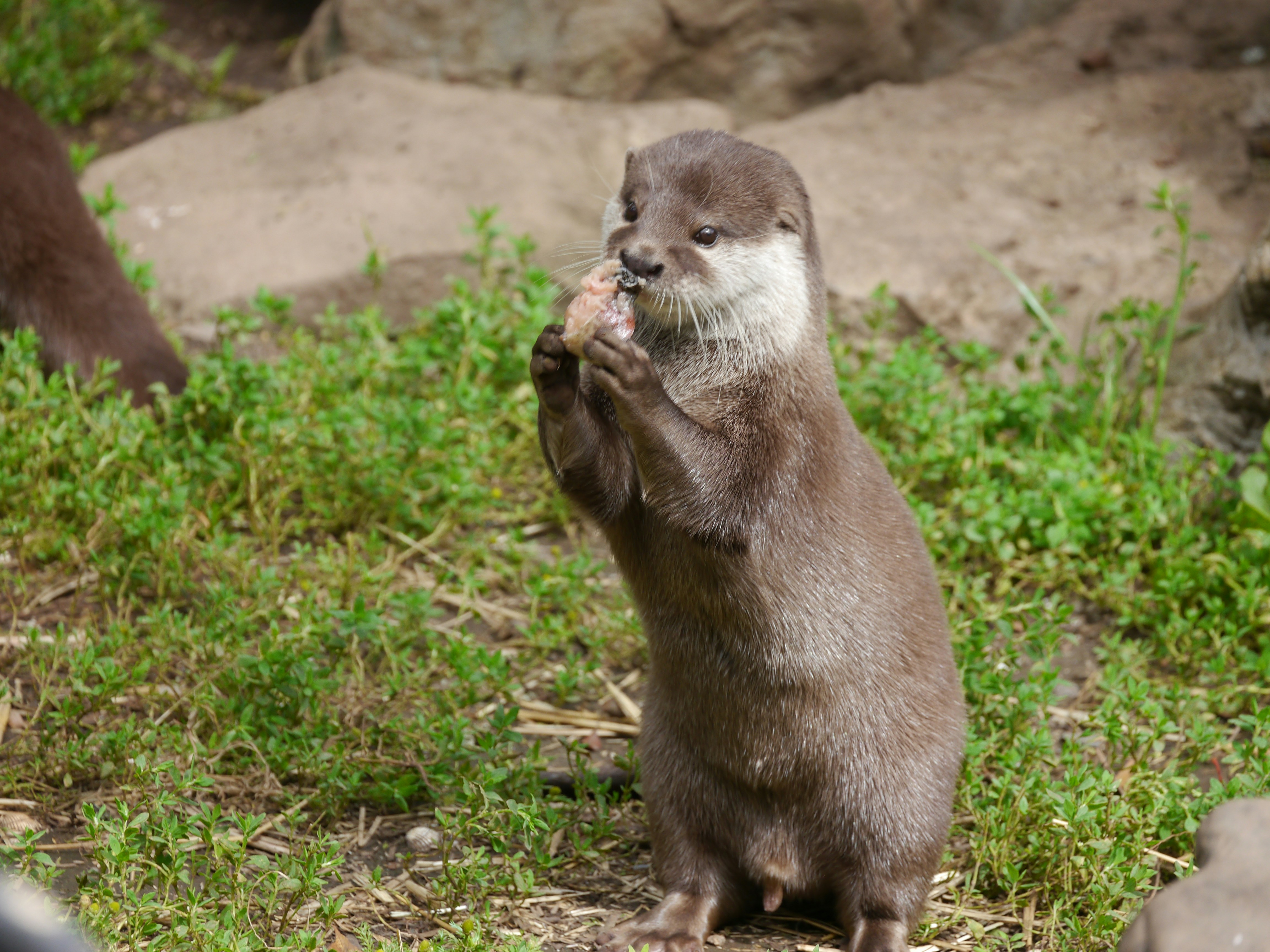 Photo by iqsphotography