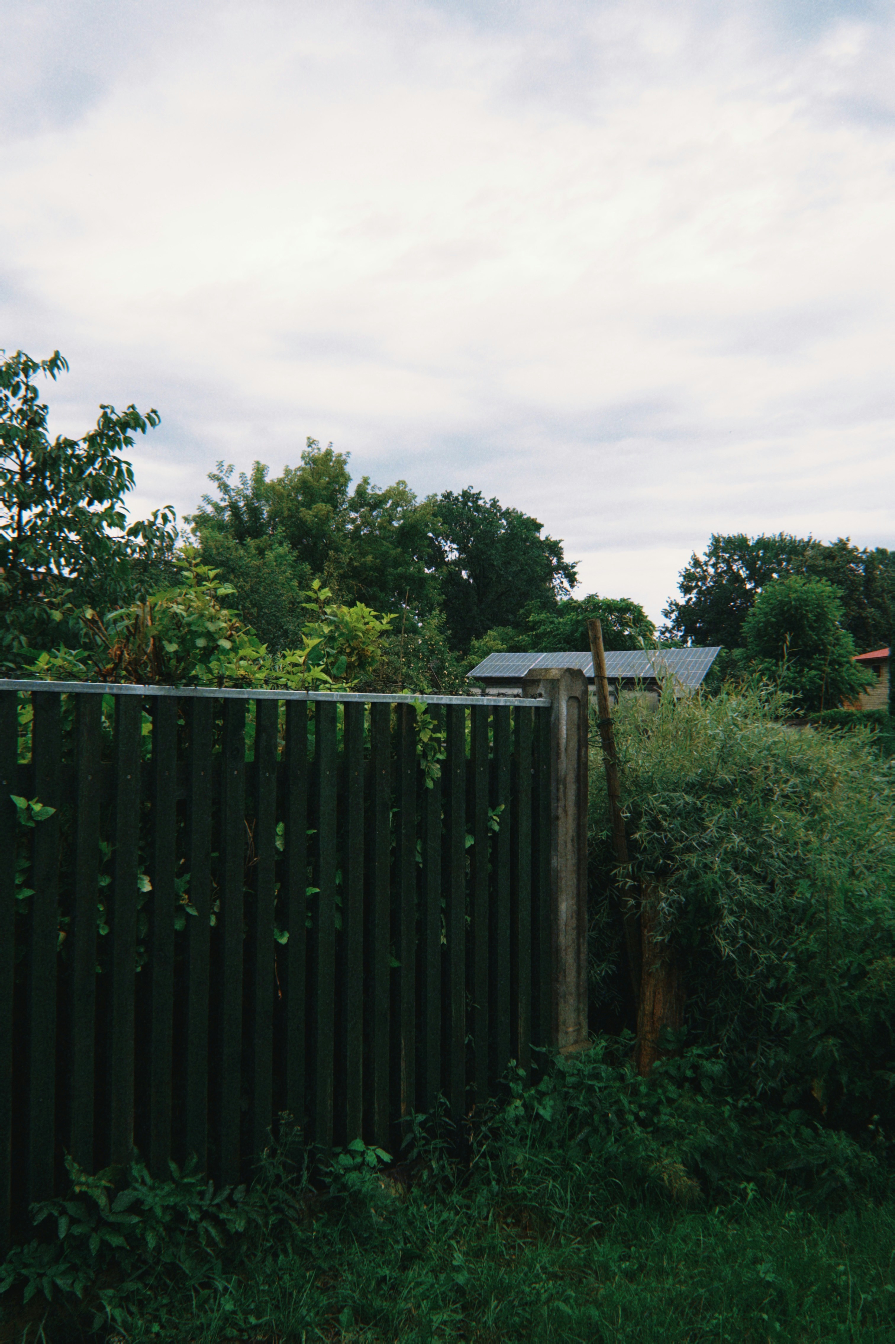 Mezzaluna Brentwood Menu