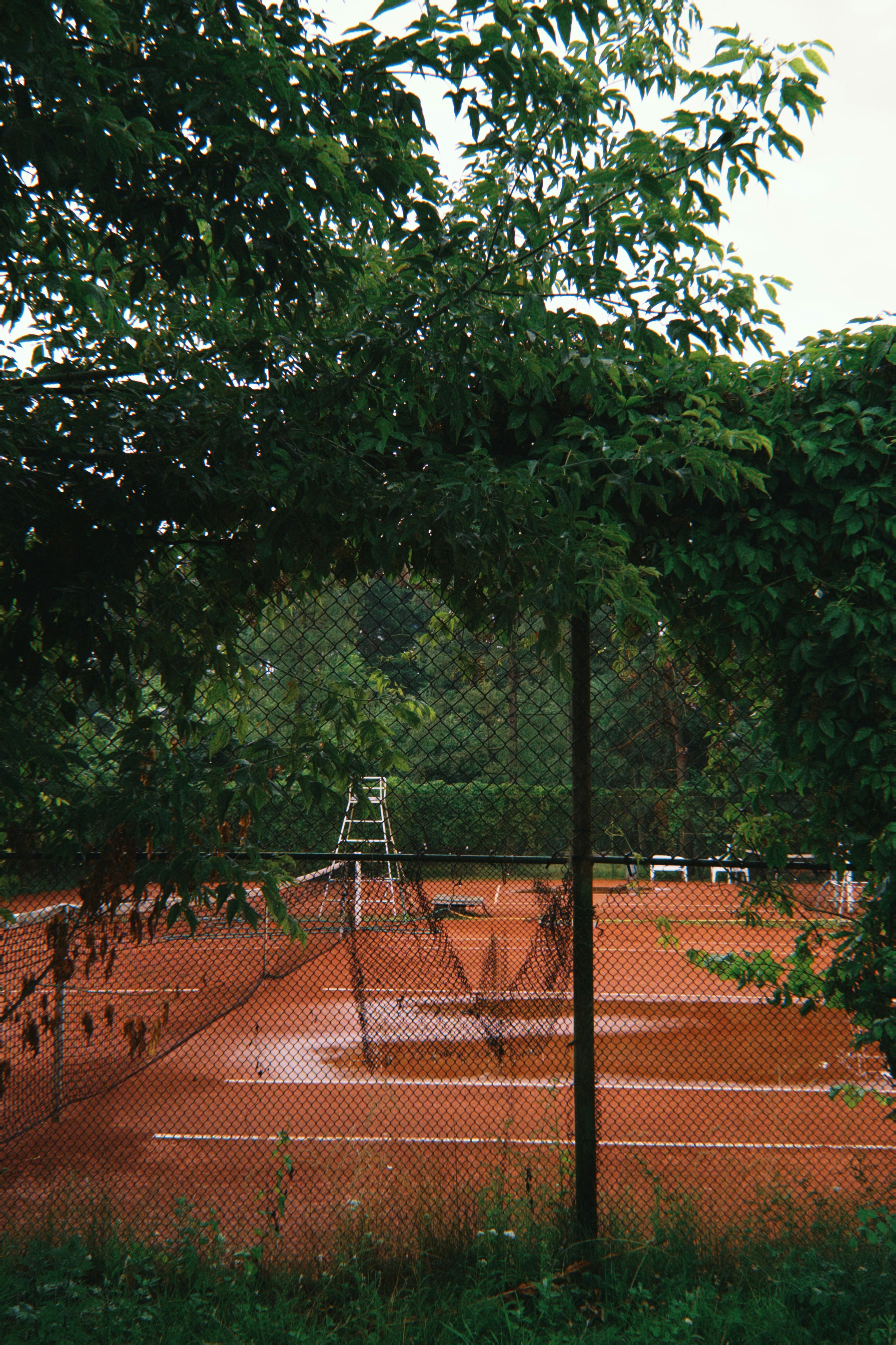 Eliminate Water Sources and Standing Water (image credits: unsplash)