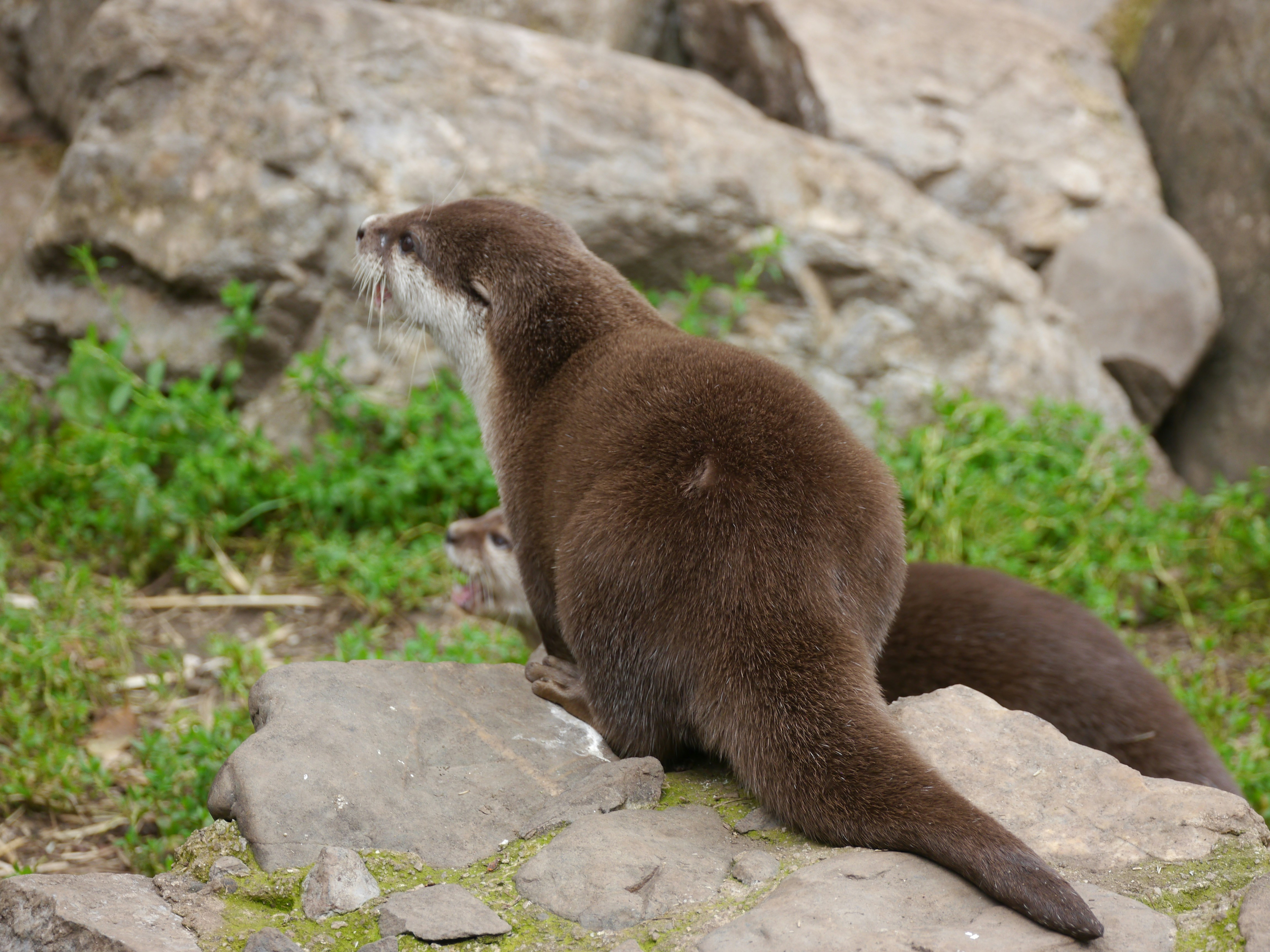 Photo by iqsphotography